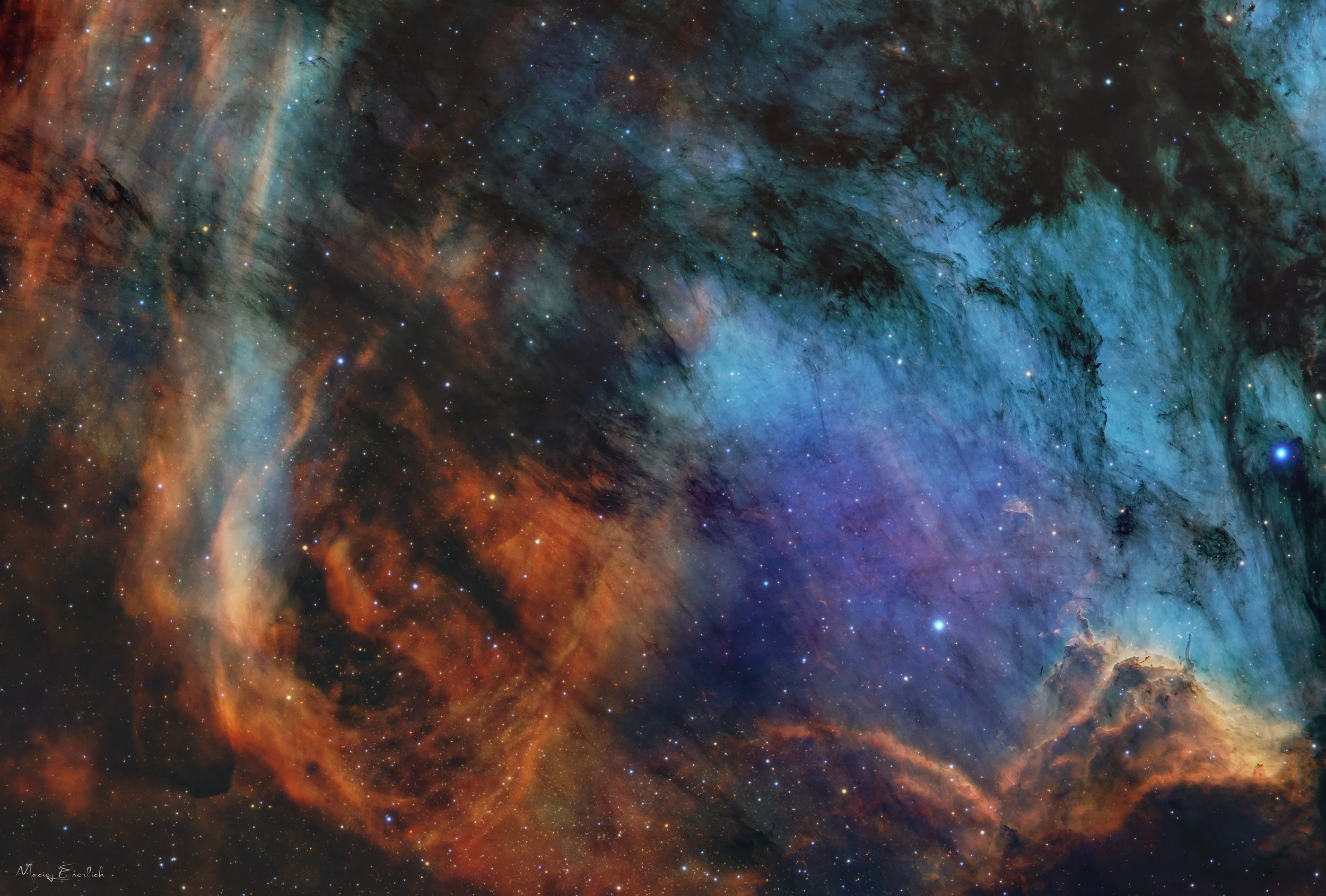 Pelican Nebula and Neighbors