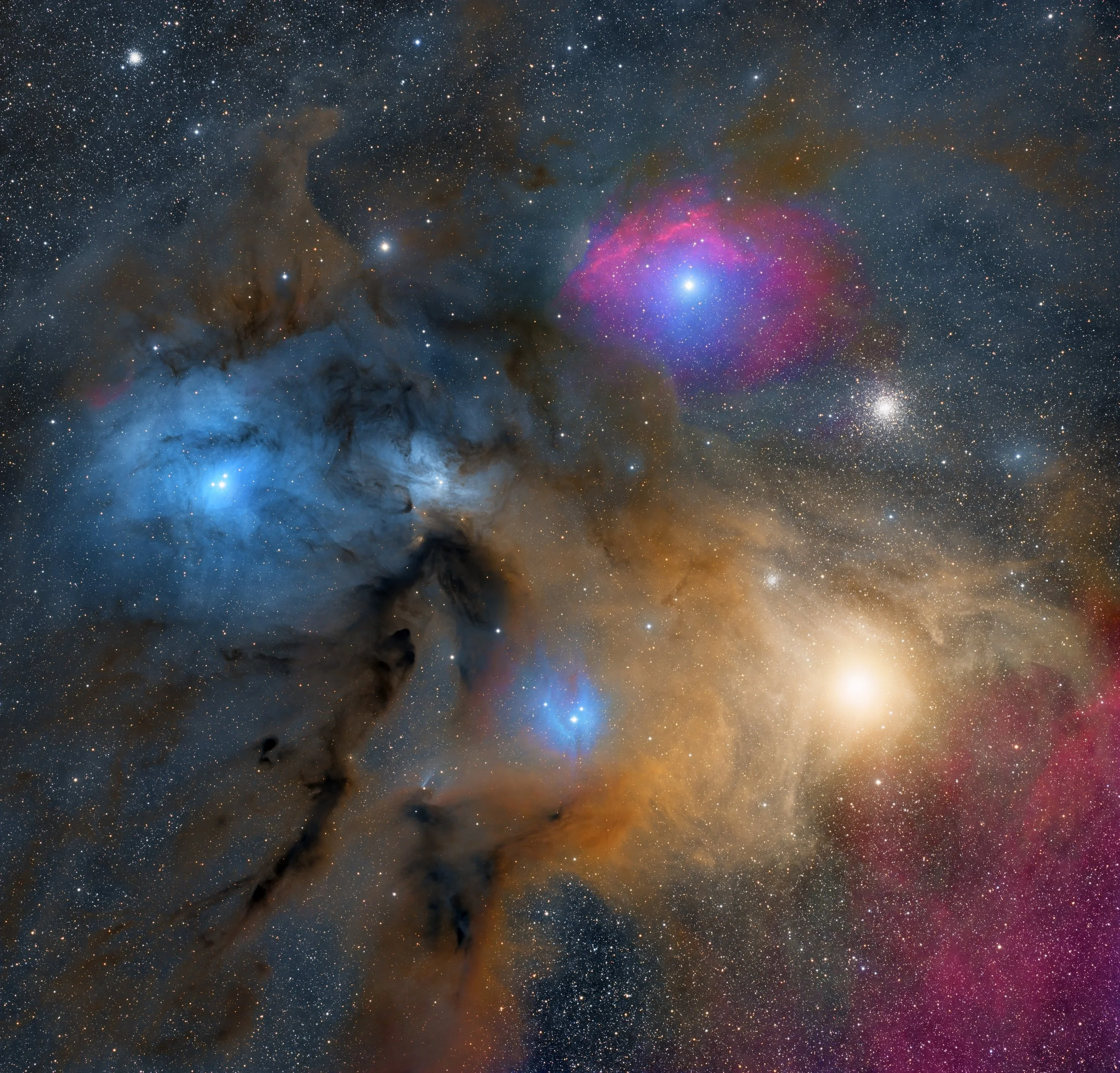 The Rho Ophiuchi Cloud Complex