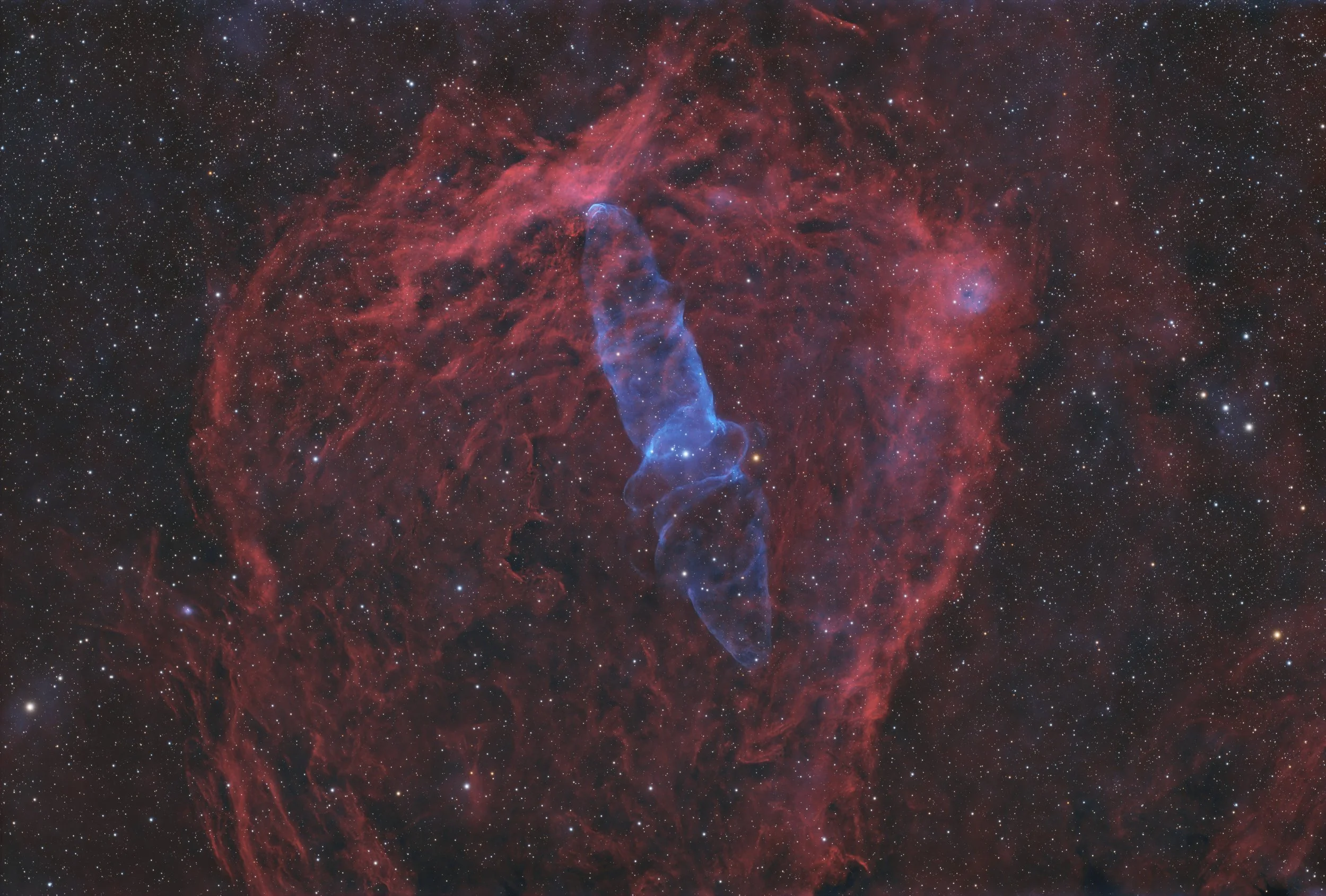 Squid Nebula