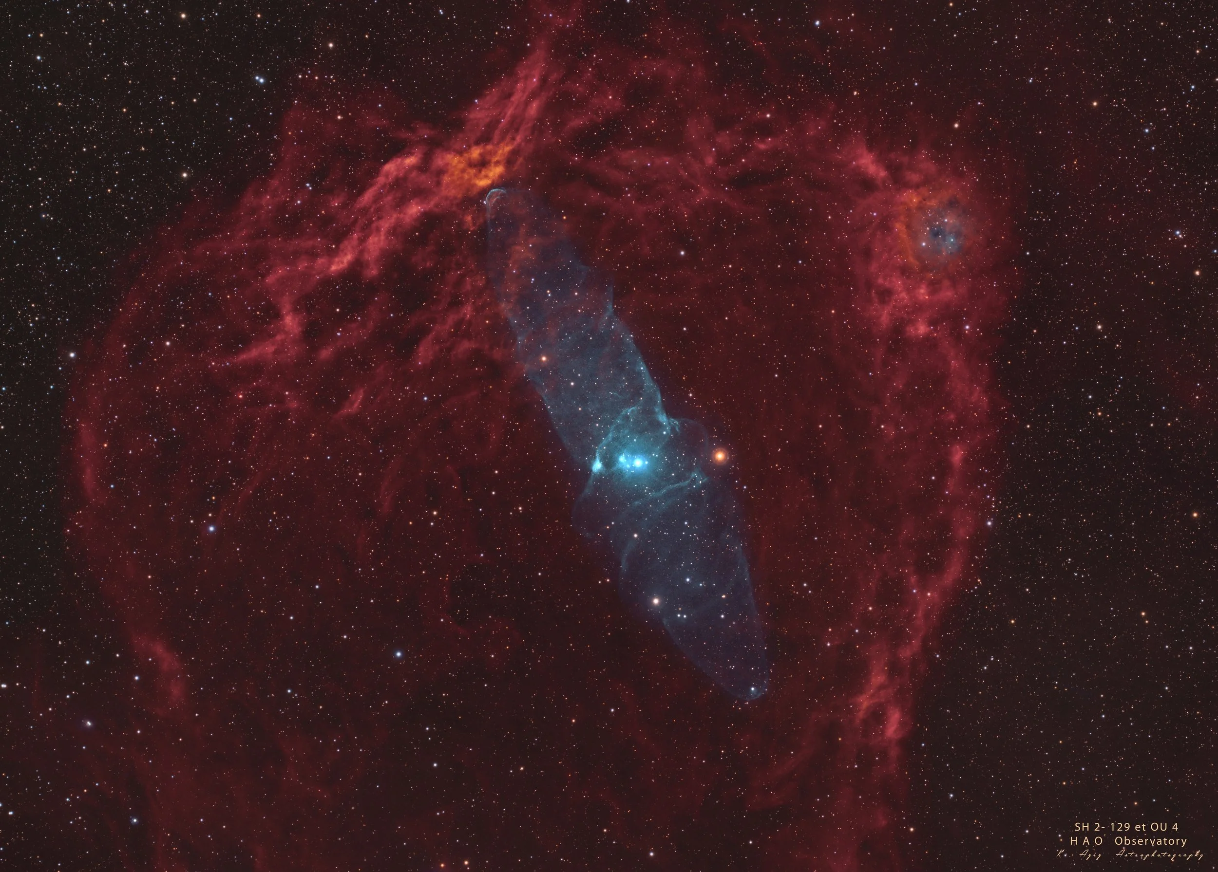 Flying Bat Nebula and Squid Nebula —