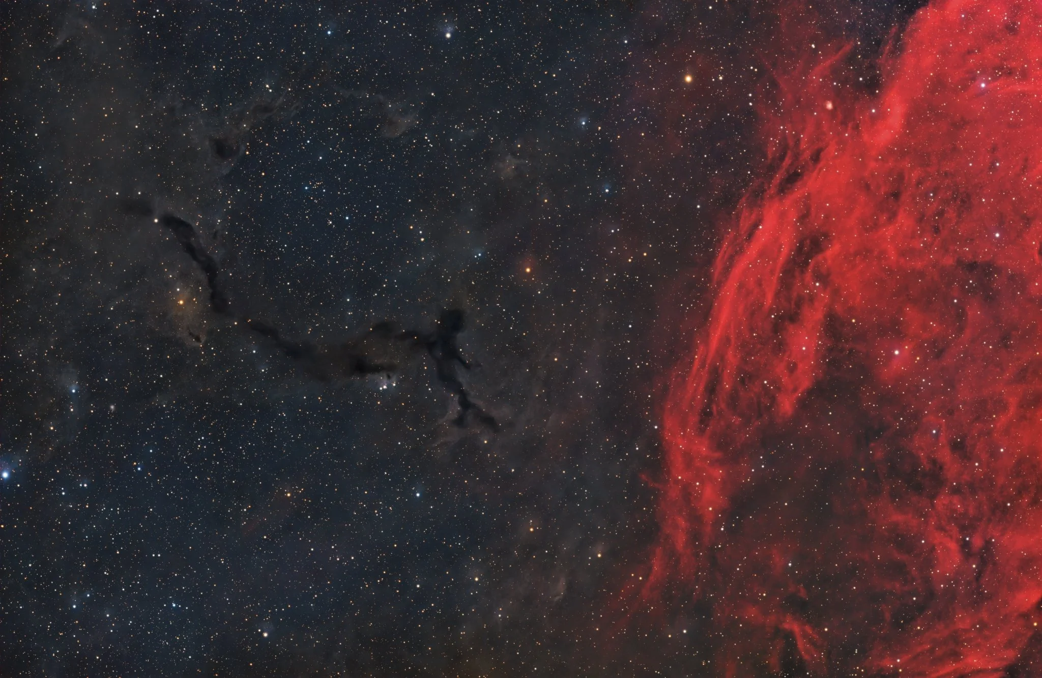 Seahorse Nebula