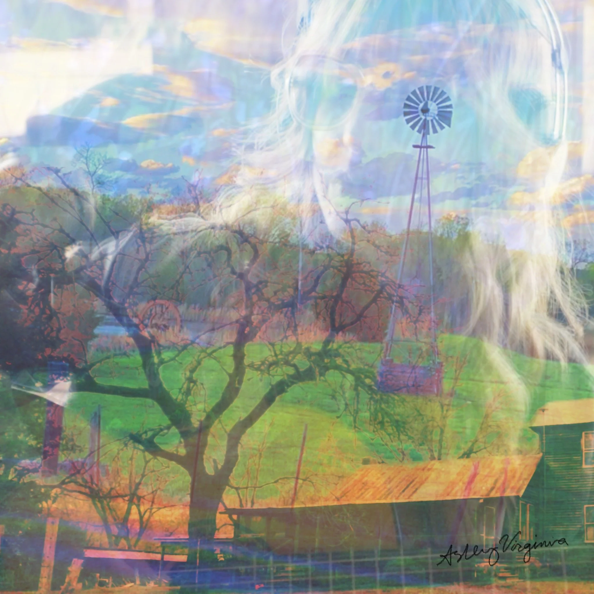 the colors in my dreams.JPEG