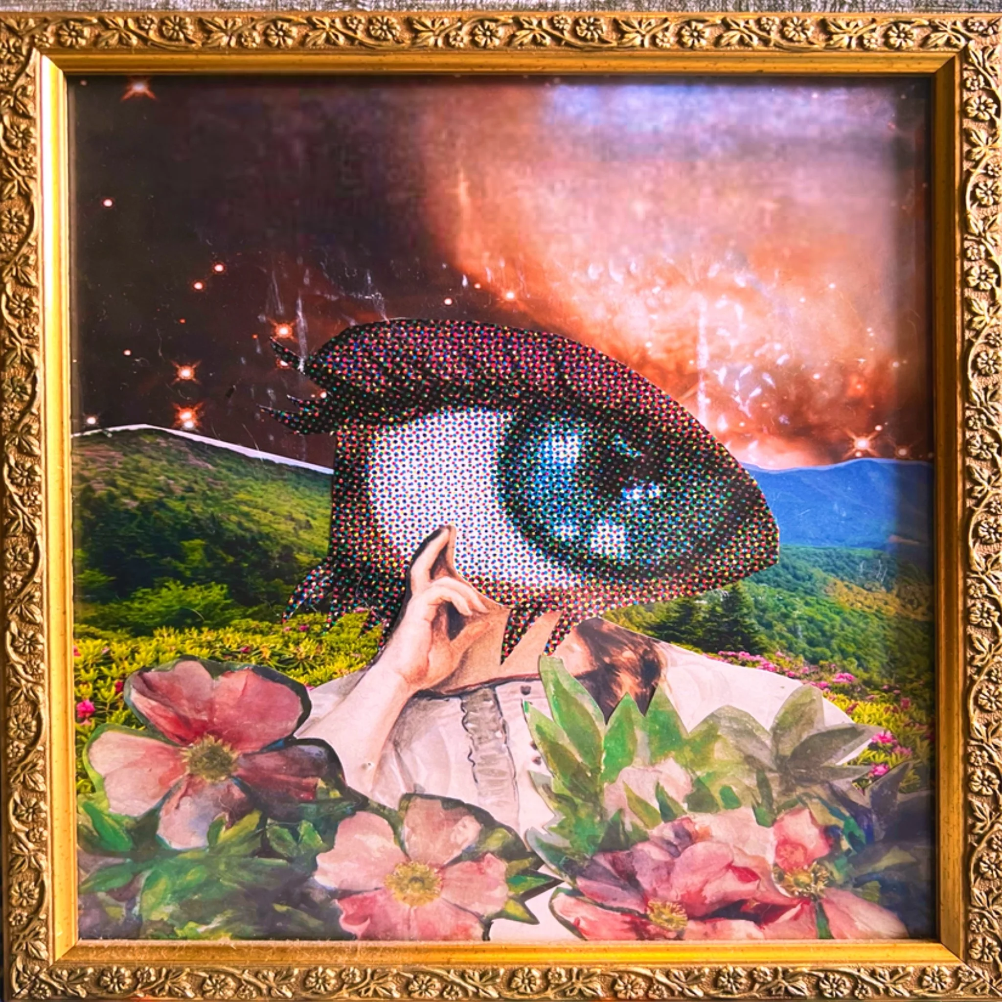 Greensboro, NC - LeBauer Park