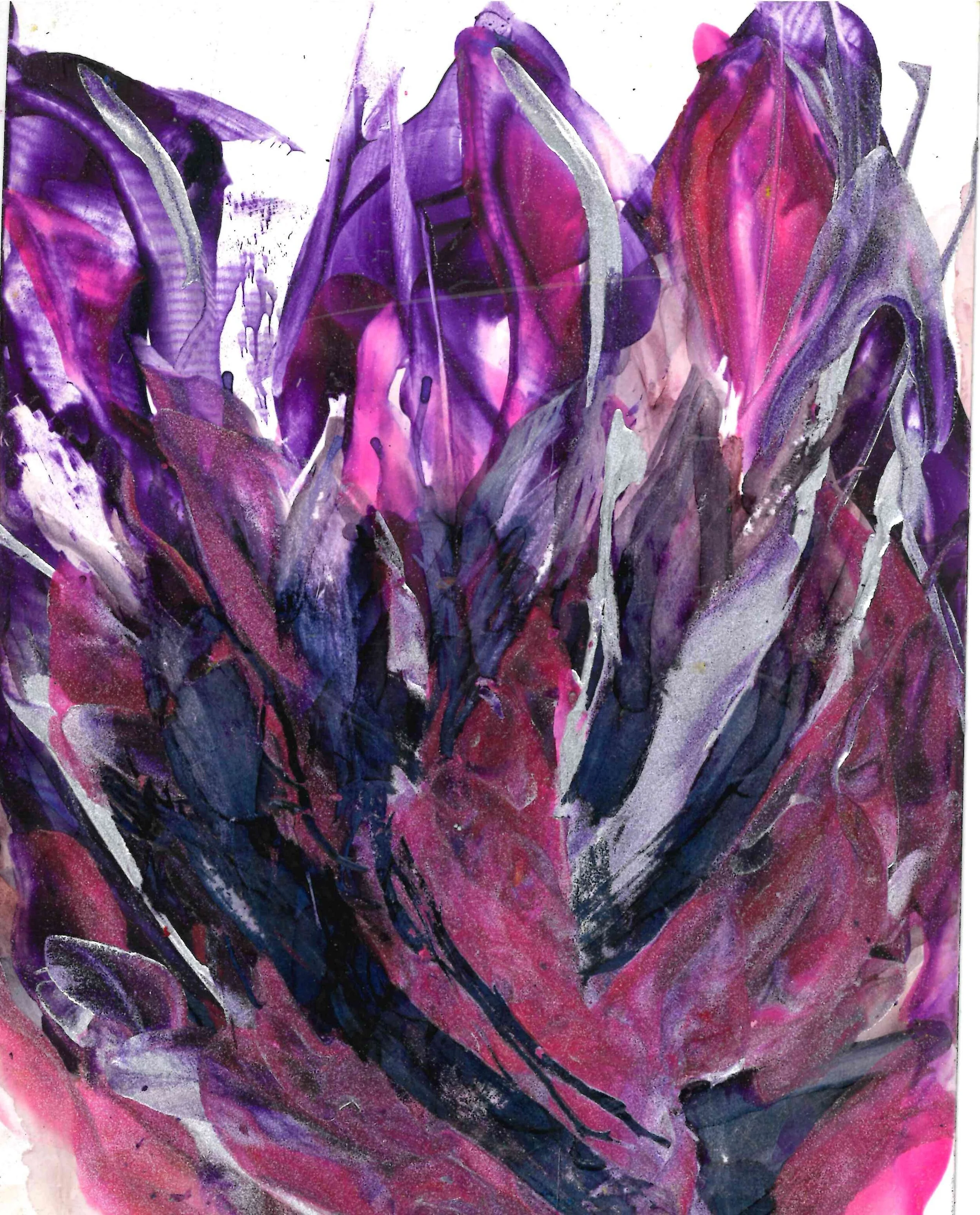 Purple Succulant