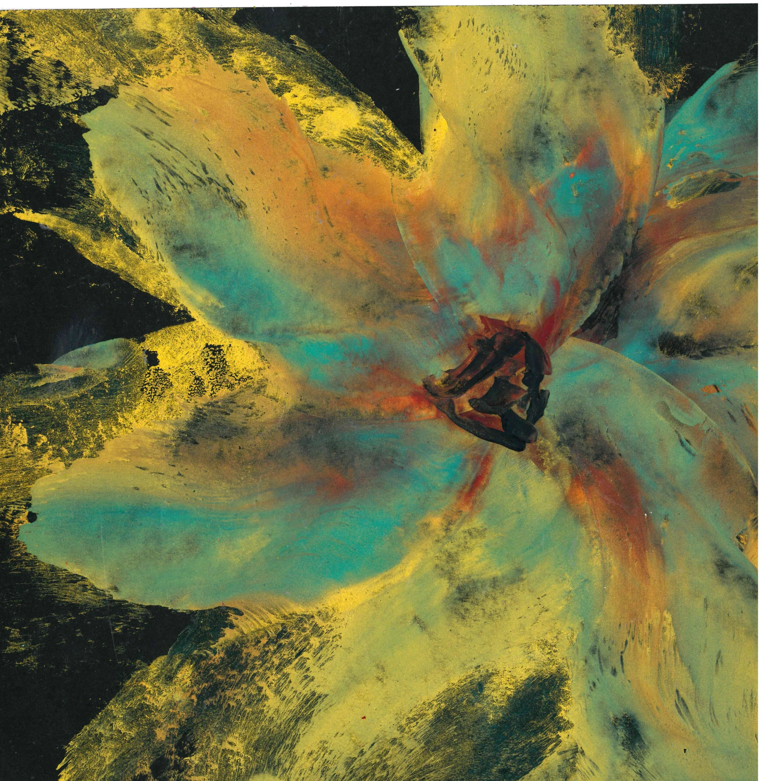 Sunflower3