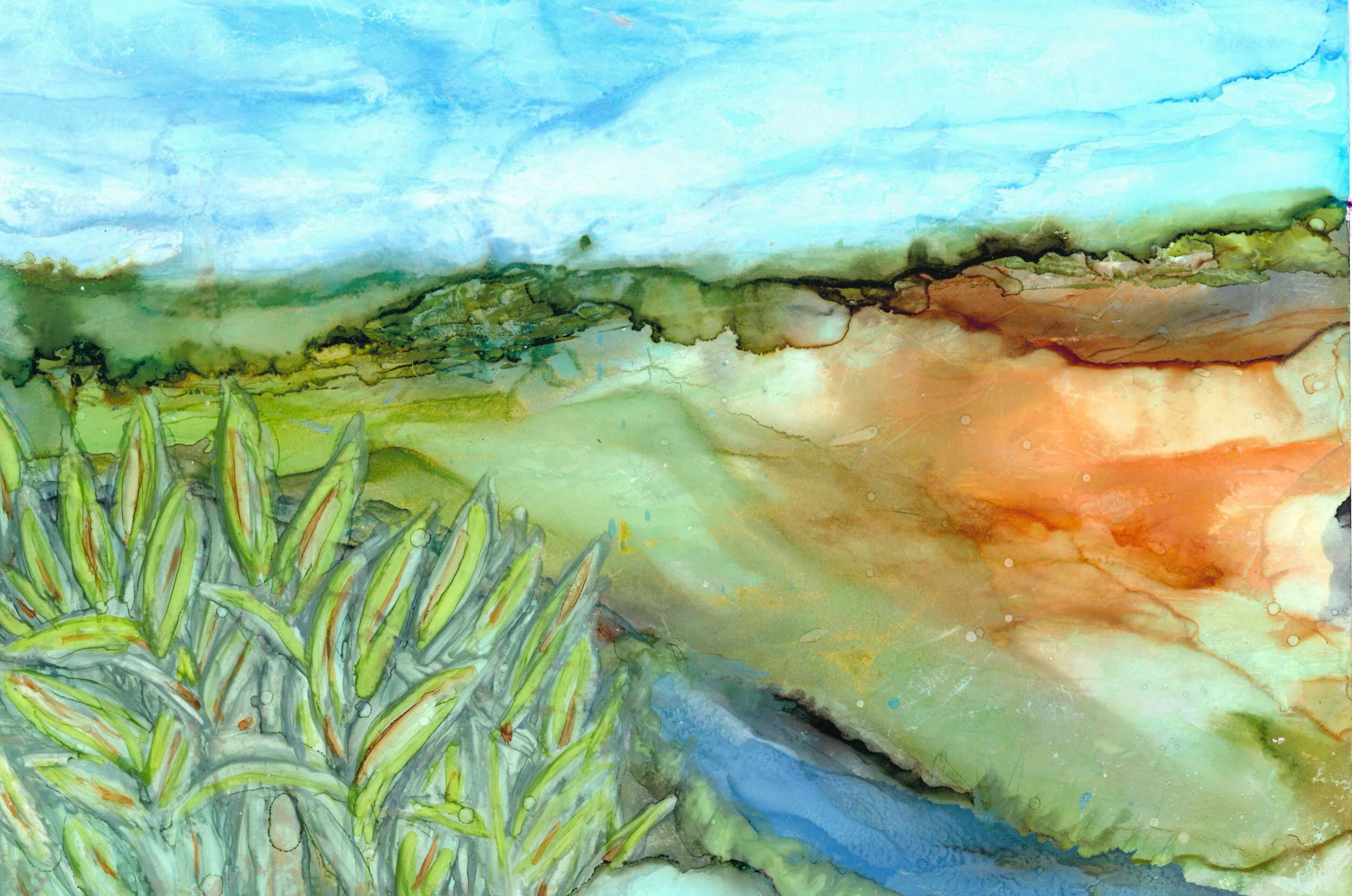 Succulent by the River