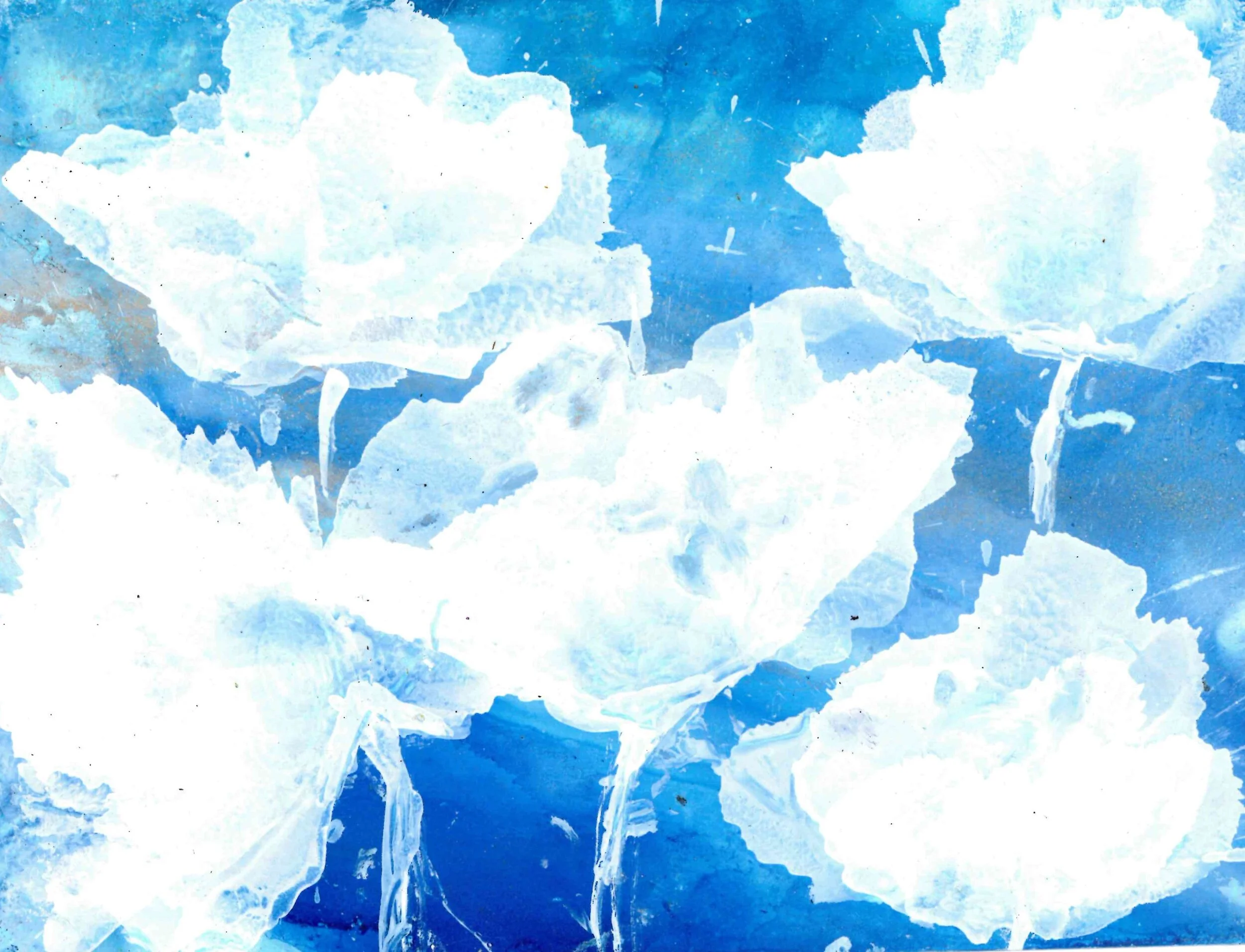 White Flowers II