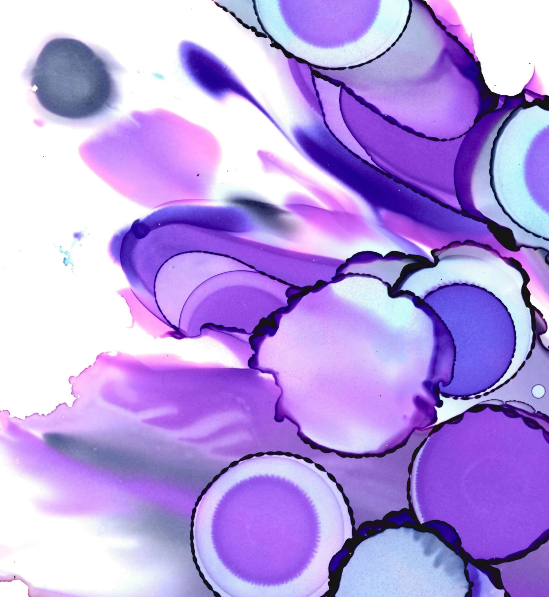 Purple Freedom