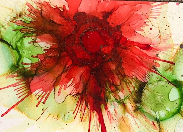 Poinsettia III