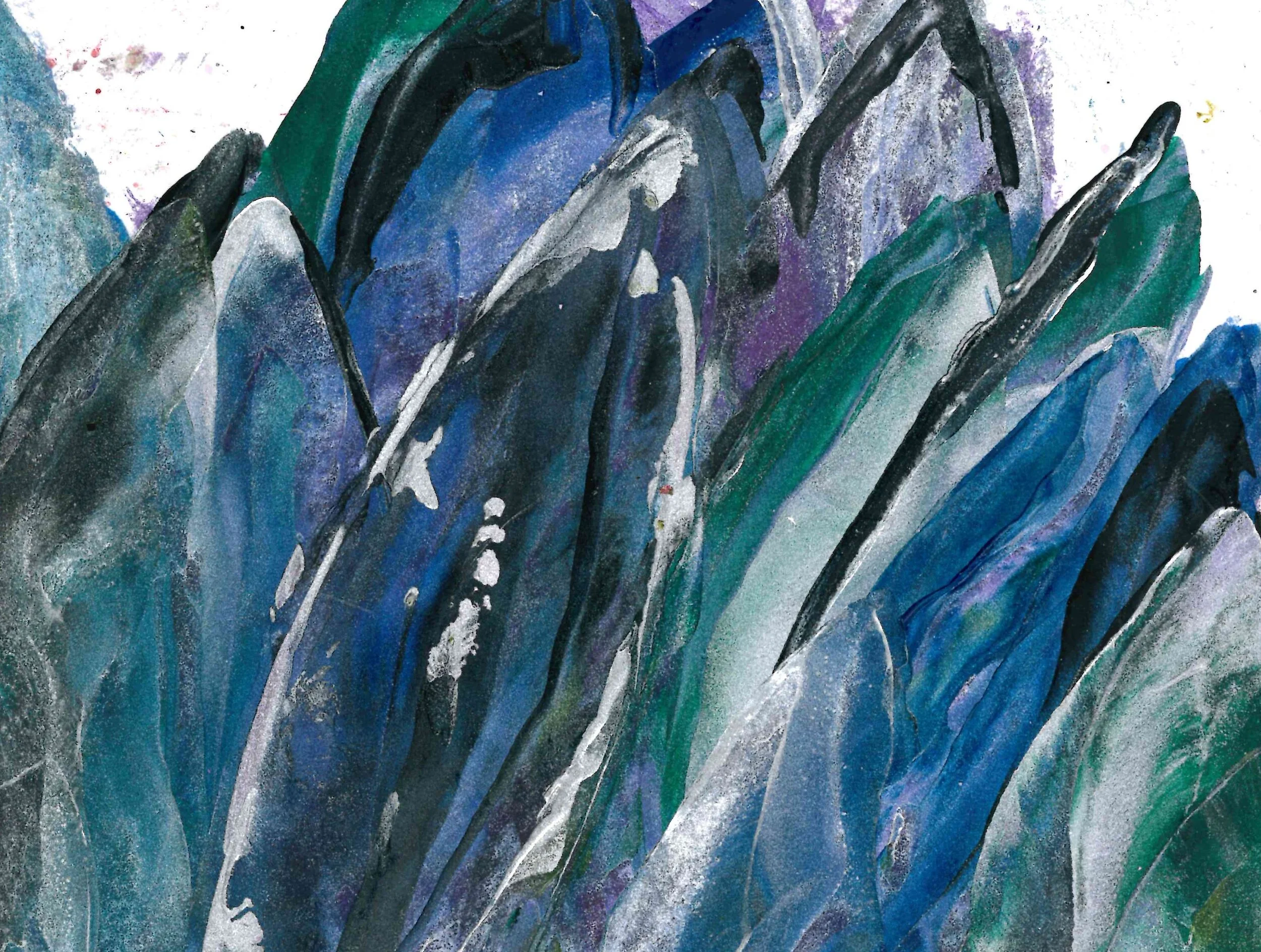 Blue and Green Succulant