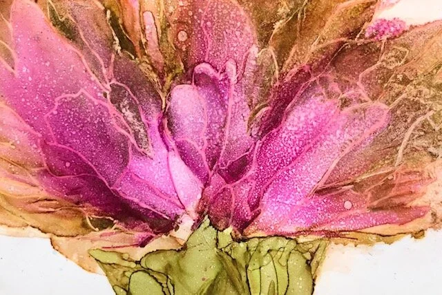 Chrysanthemum Bud