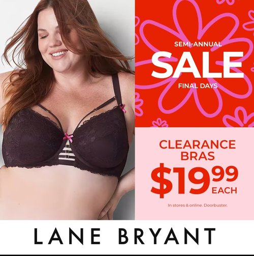 Plus Size Bra Clearance at Lane Bryant just $19.99 —