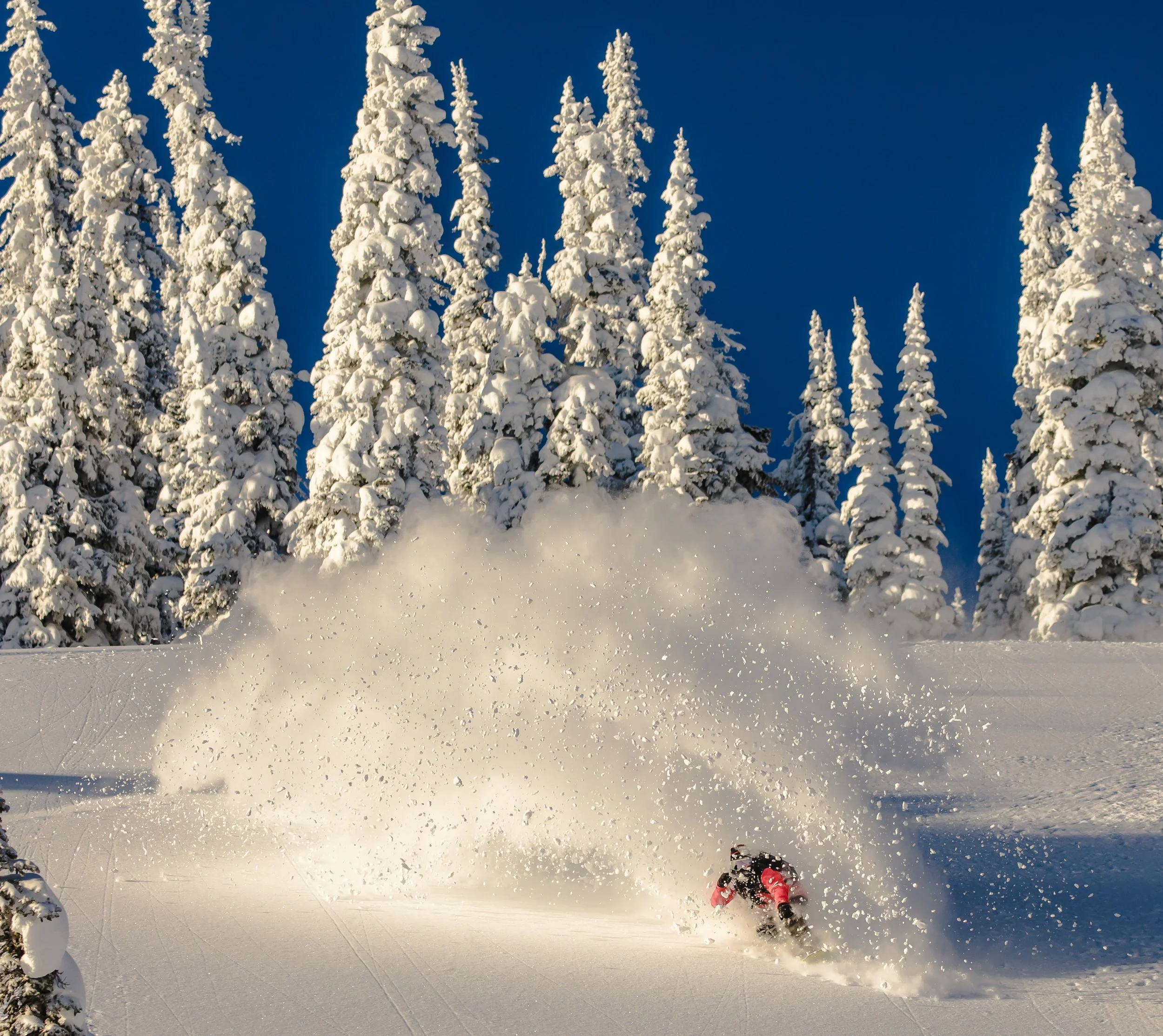 Chistmascam1 (12 of 1).JPG