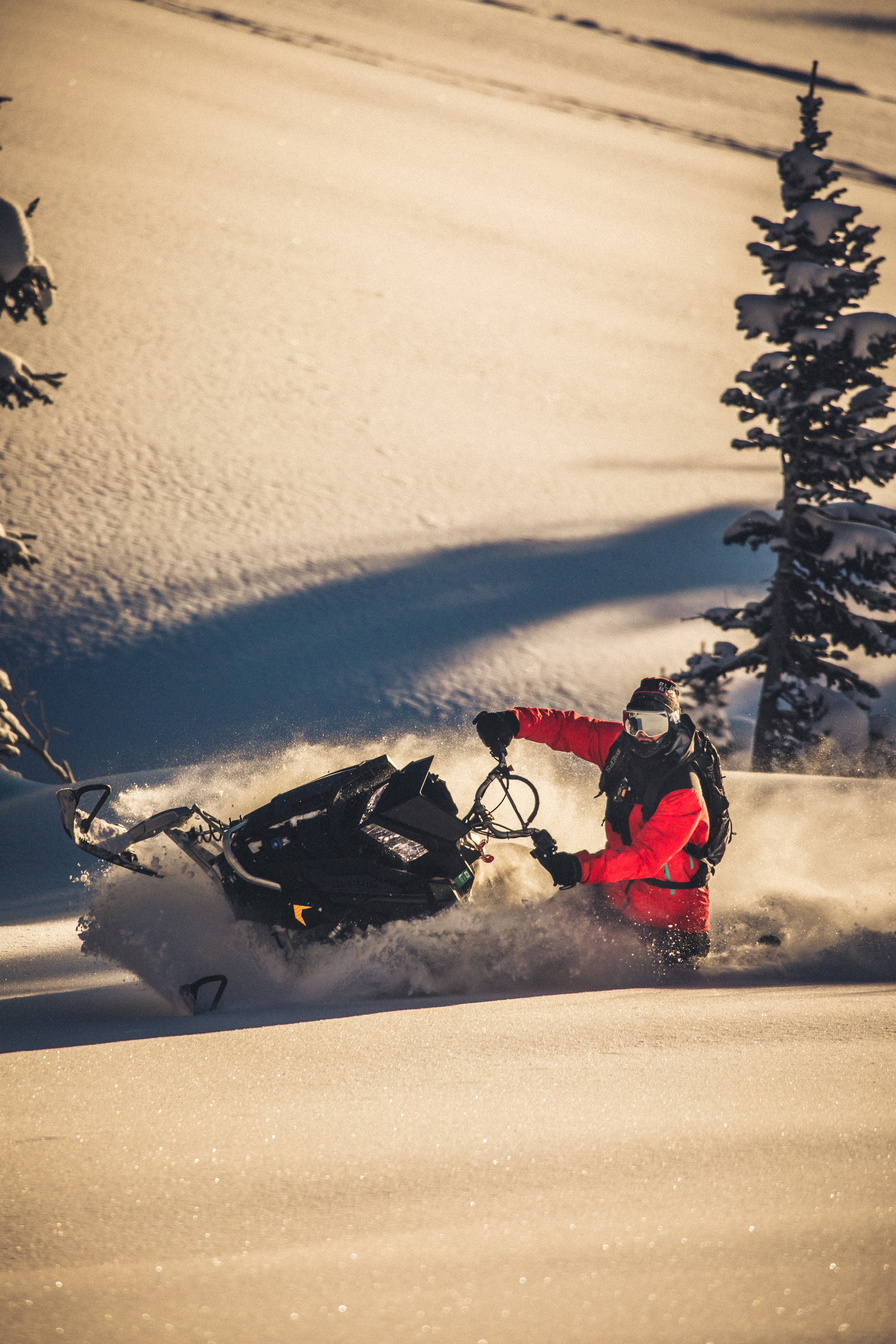 cameron (1 of 1).JPG