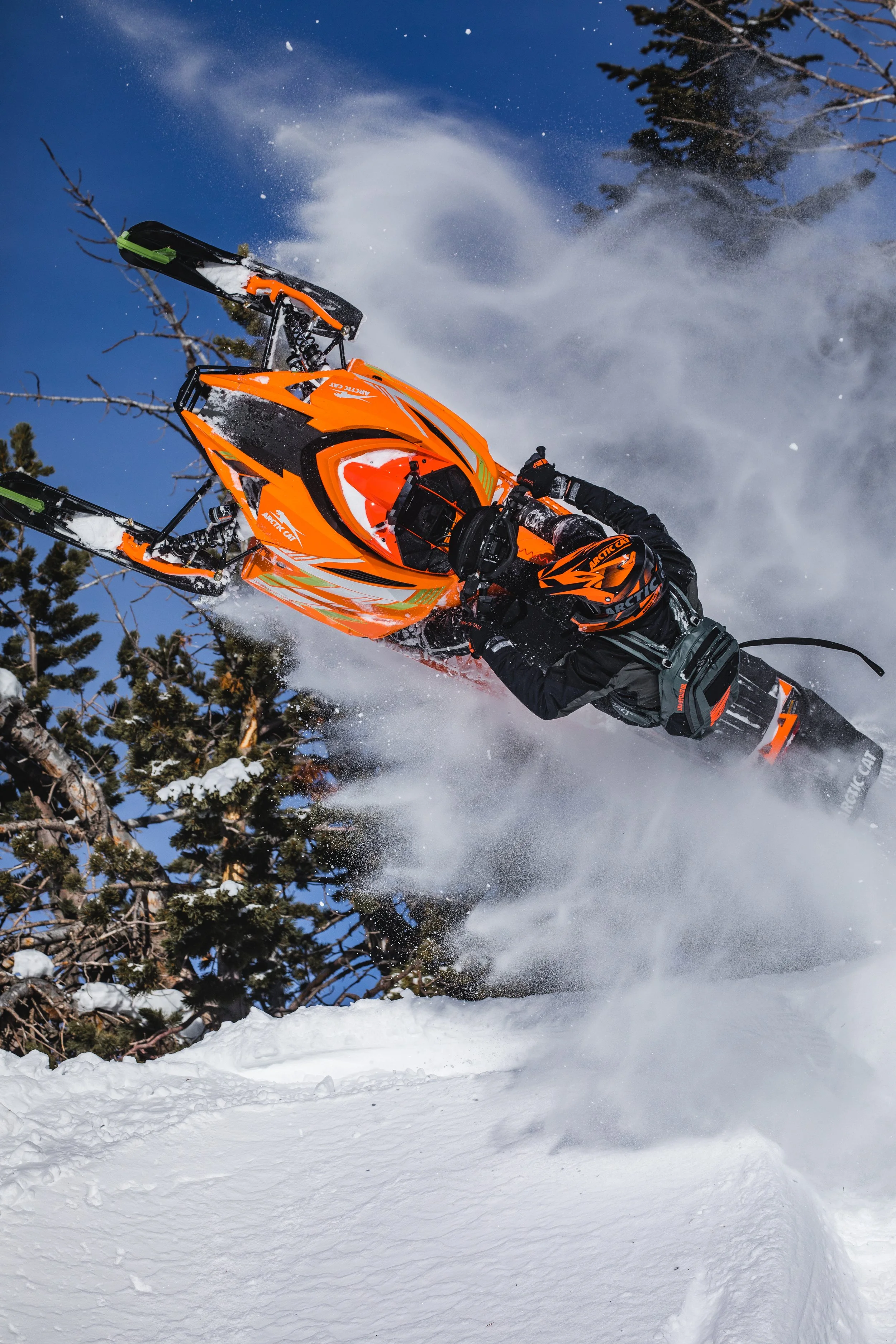 sled15 (12 of 1).JPG