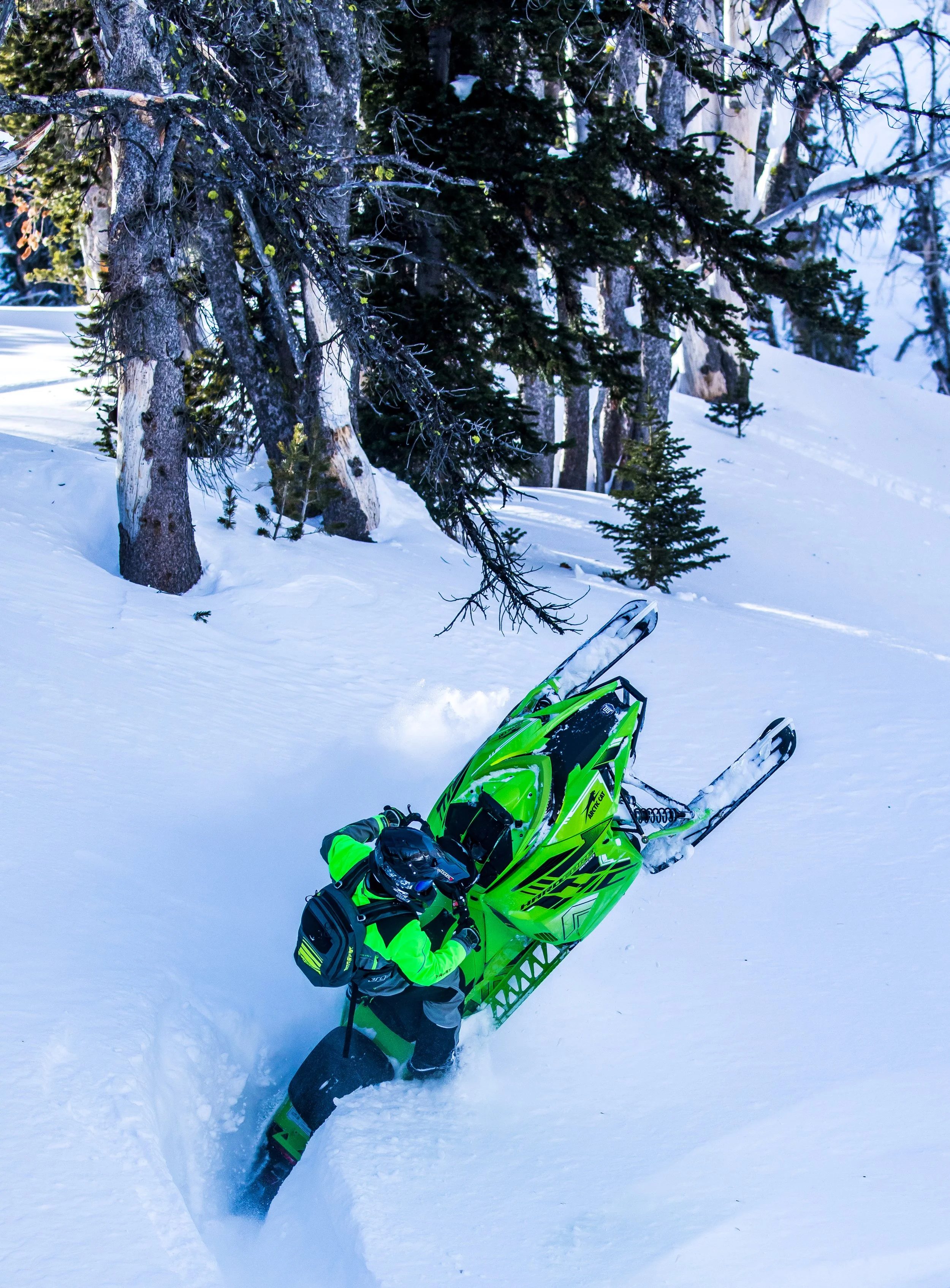 tristan (12 of 1).JPG