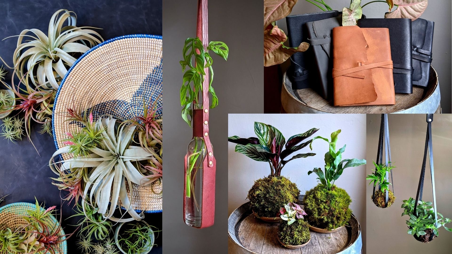 Product collage: air plants, handcrafted leather hanging vase, handcrafted leather journal, kokedama (moss balls).
