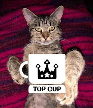 Nina is serious about promoting Top Cup. We have learned over the last year not to get in her way. 🖤  Topcuproasters.com