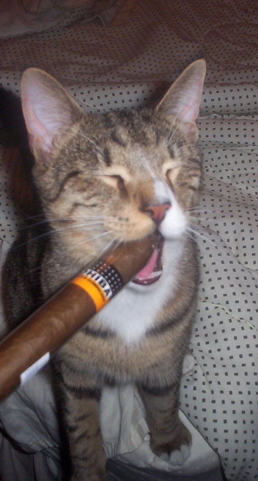 The CatFather