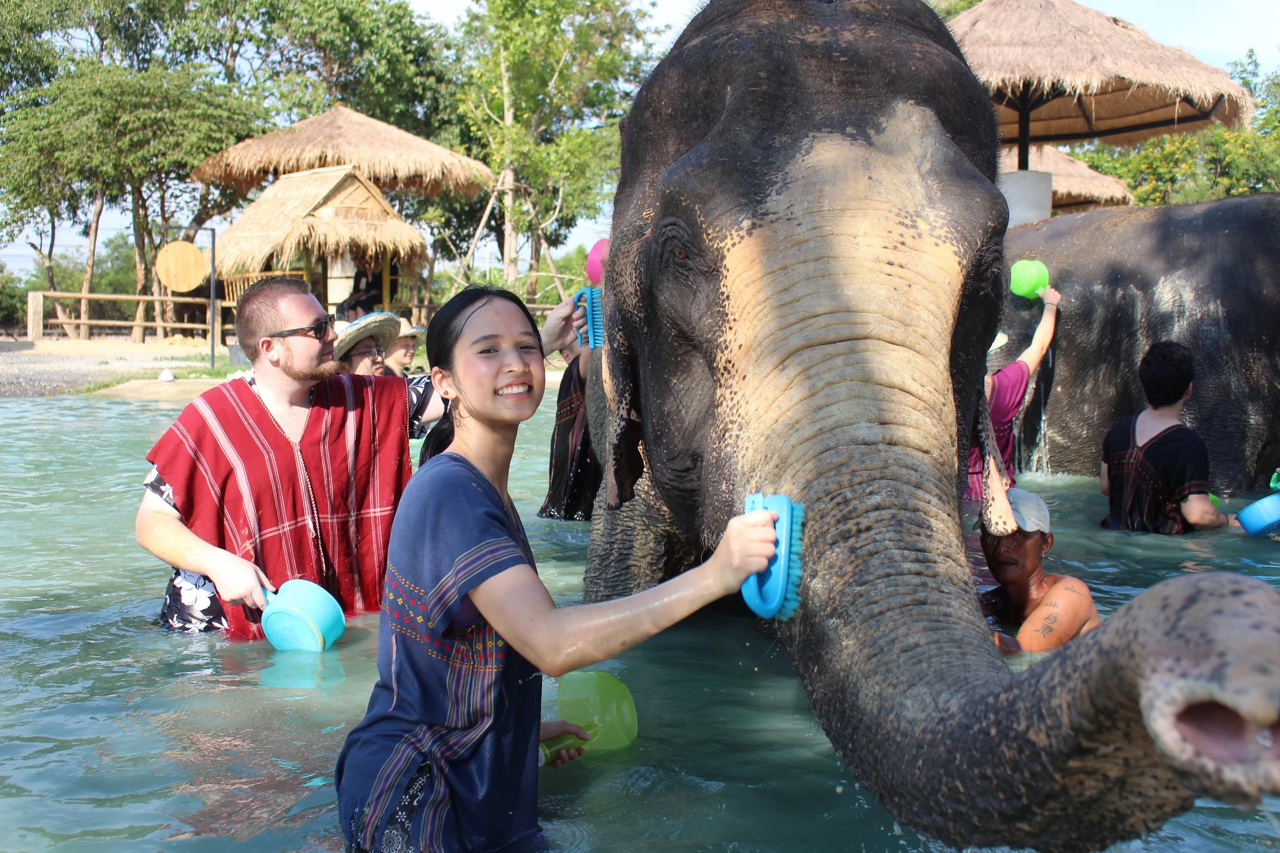 Elephants w/ Earn ~ 🐘