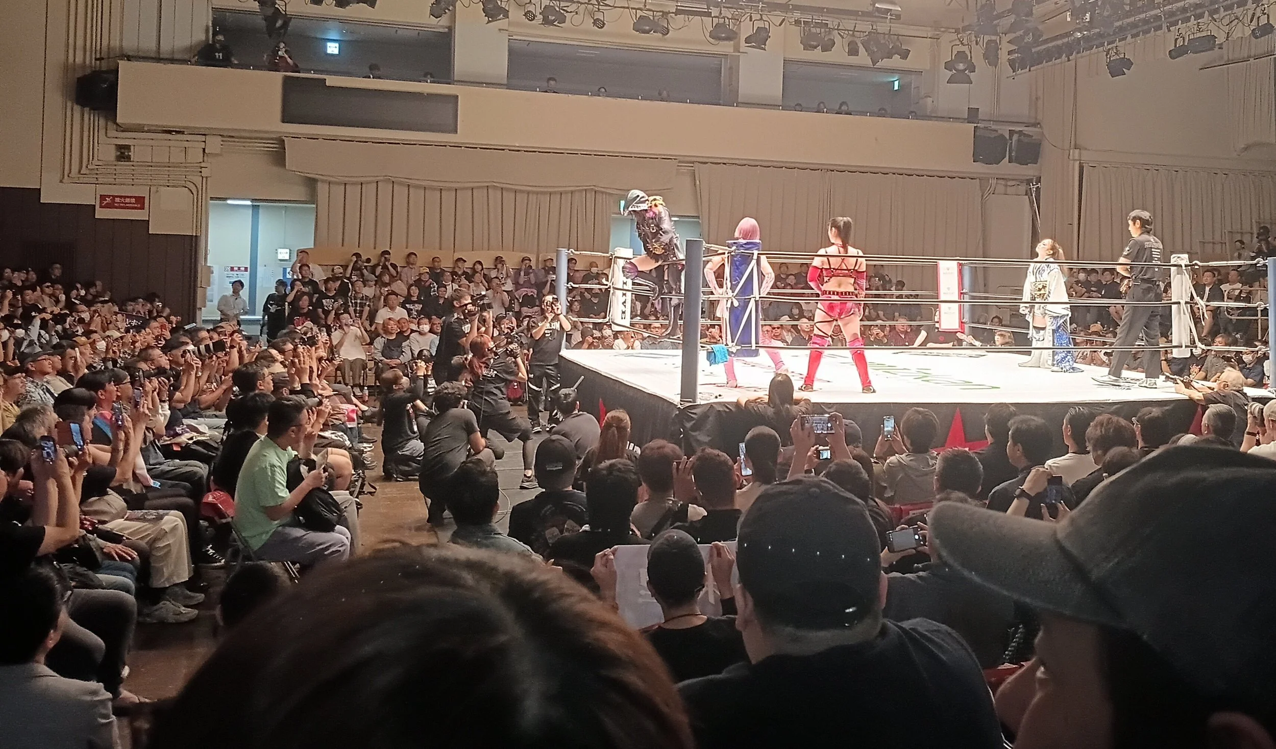 Joshi 2026 w Himawari