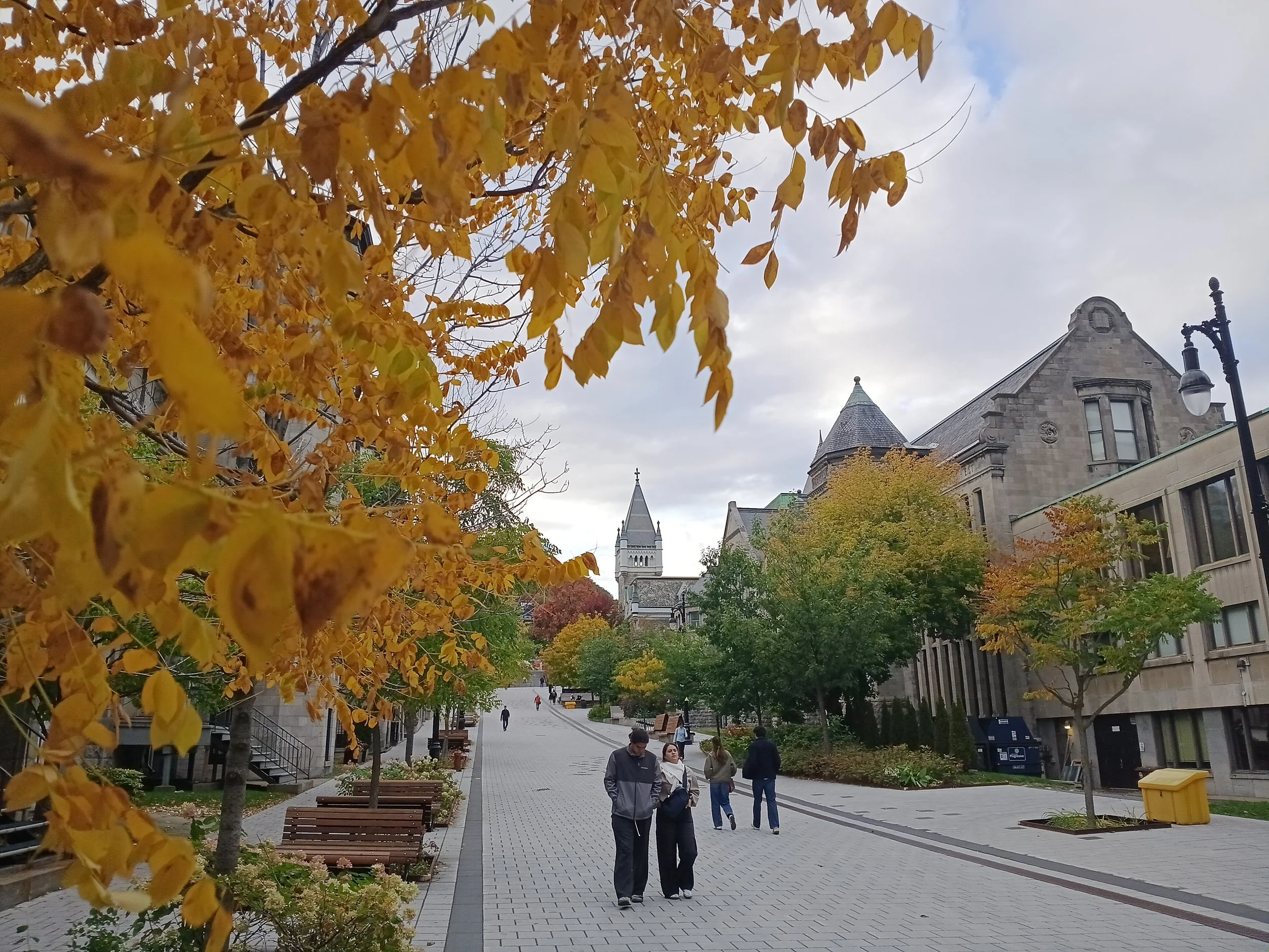 McGill University 