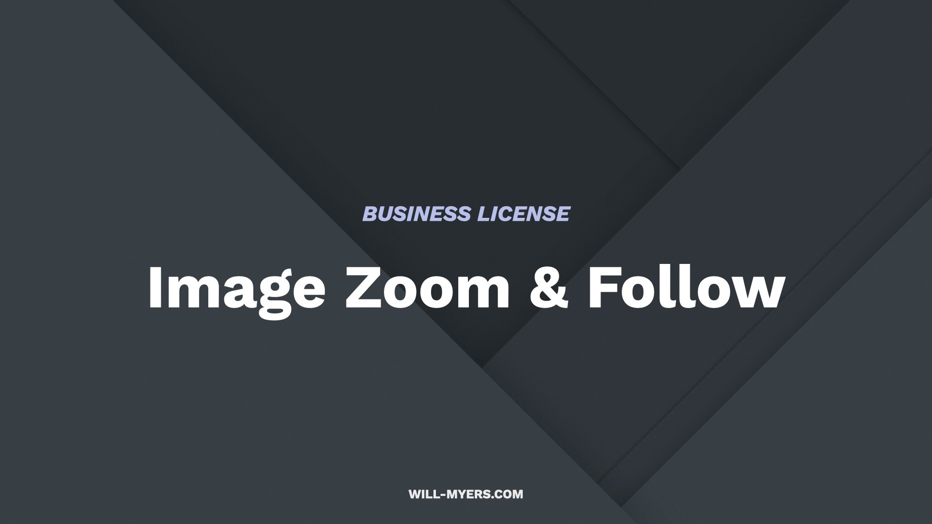 Image Zoom & Follow.001.jpeg