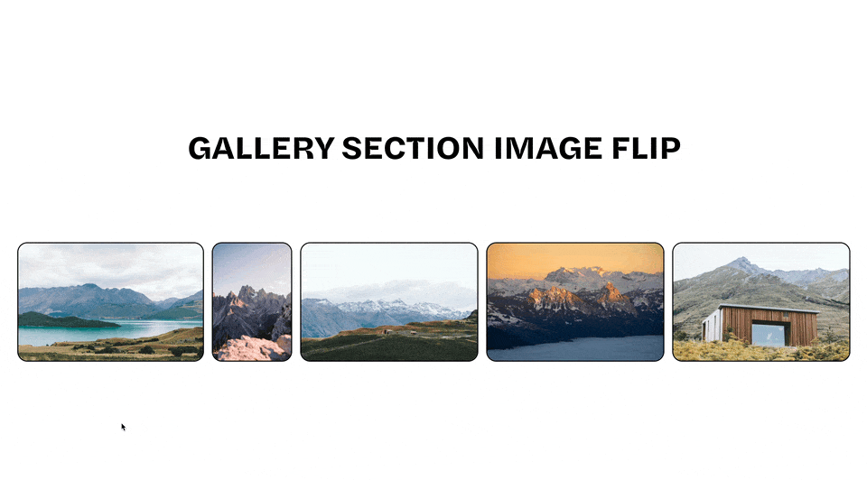 Gallery Section Image Flip