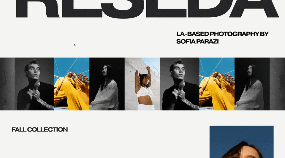 GIF - Custom Cursor Slider.gif