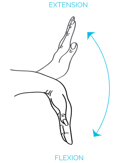 Lock-Down Ergonomics: Postural Check-In