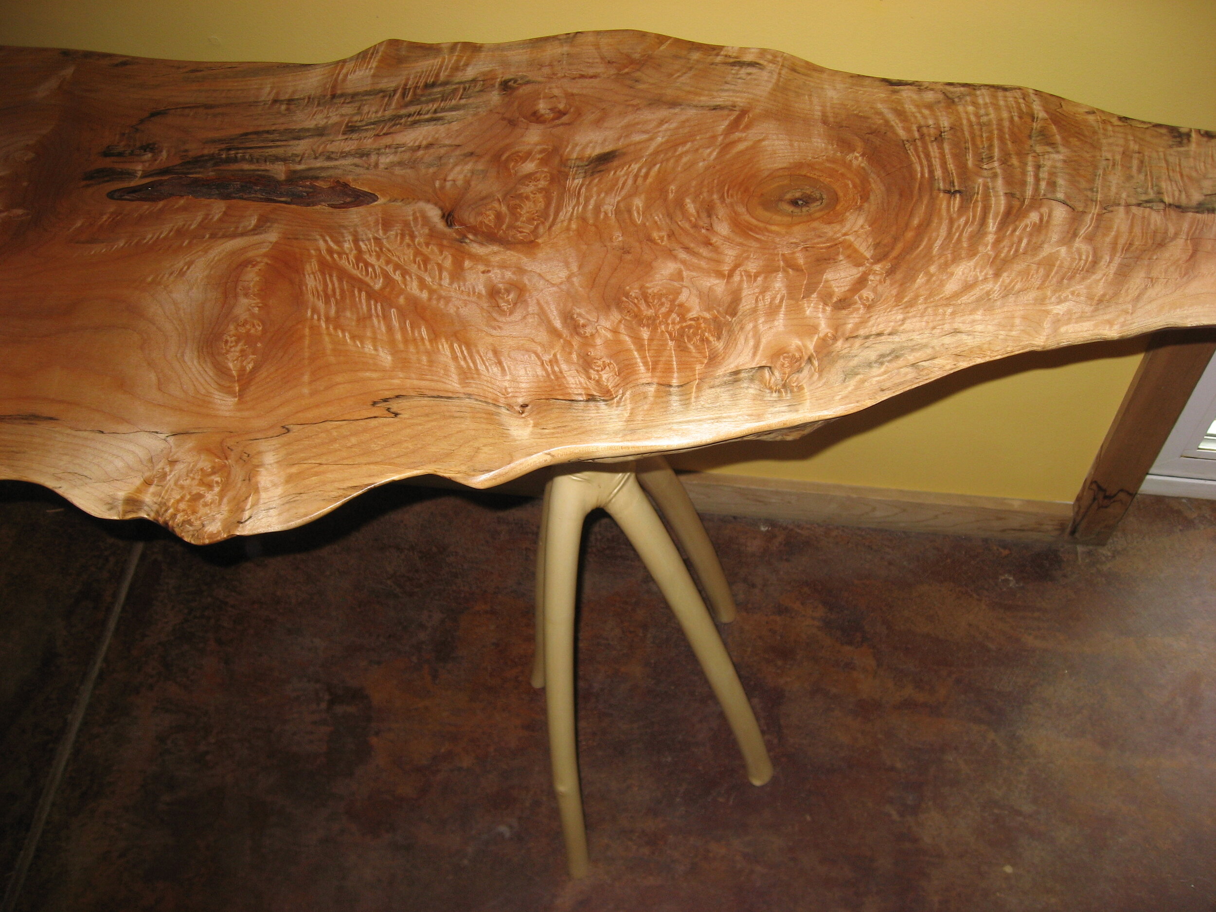 MAPLE - Spalted, Quilted Maple live edge slab with Maple branch legs