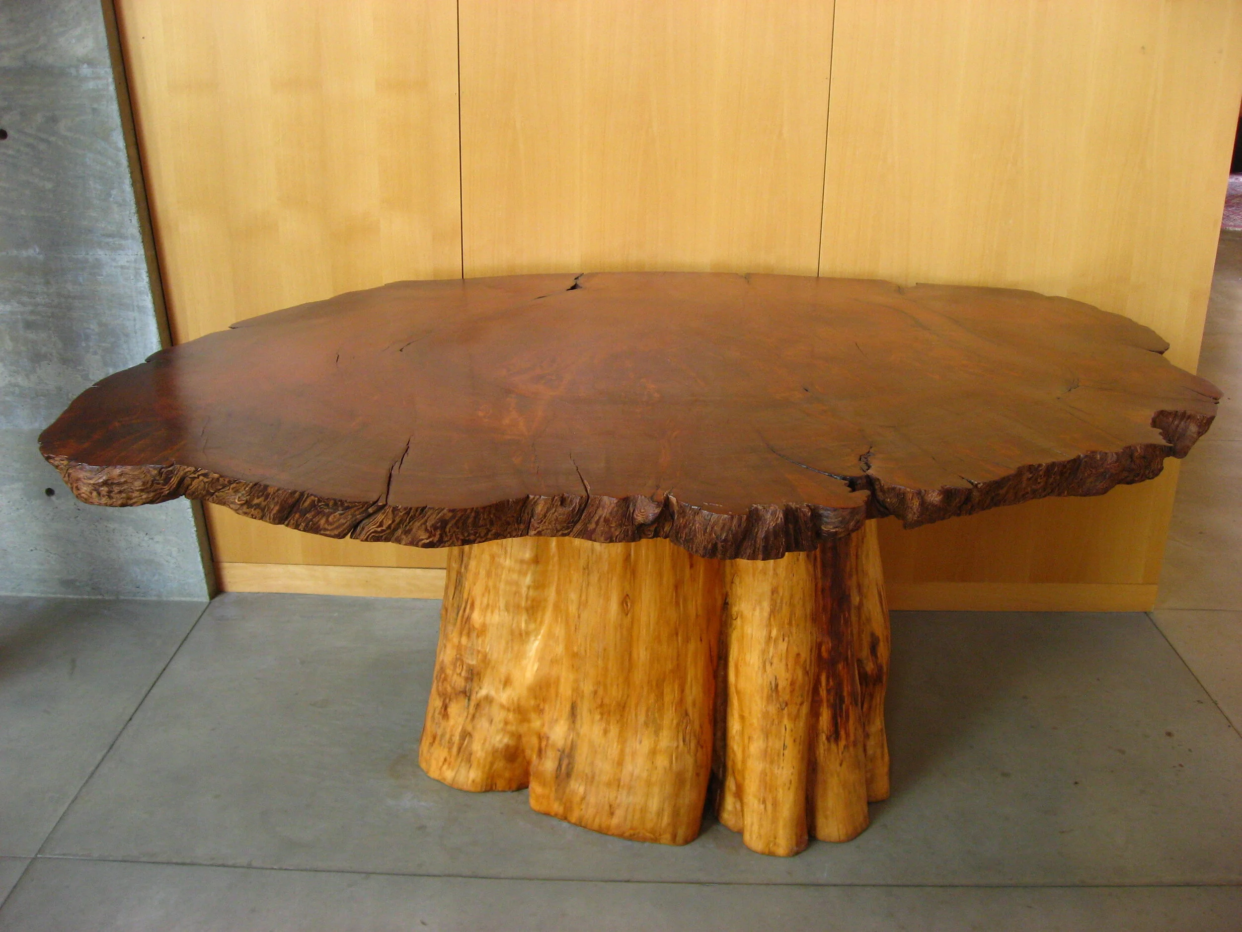 GRACE CHURCH FUTURE CHAPEL ALTER - 2,000+ yr old Quinault Cedar live-edge burl slice with Cedar trunk leg