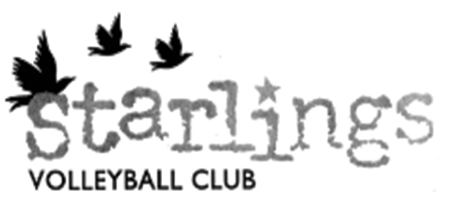 Starlings-VBC-BG+(1).png
