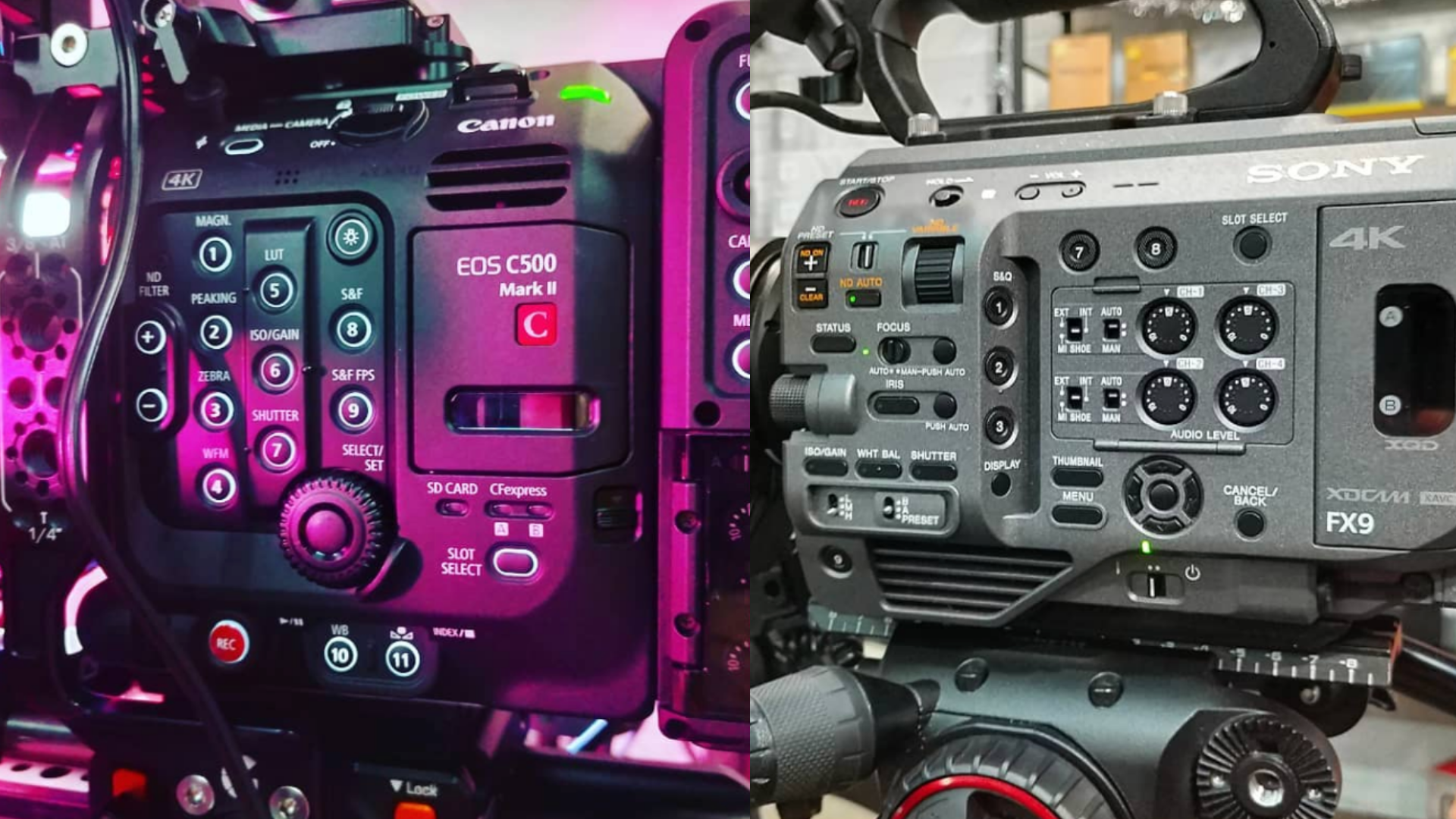 Stolpe sløring galning FX9 vs c500 II - First Impressions by Phil Holland — The Living Image