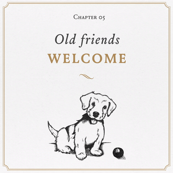 dog.gif