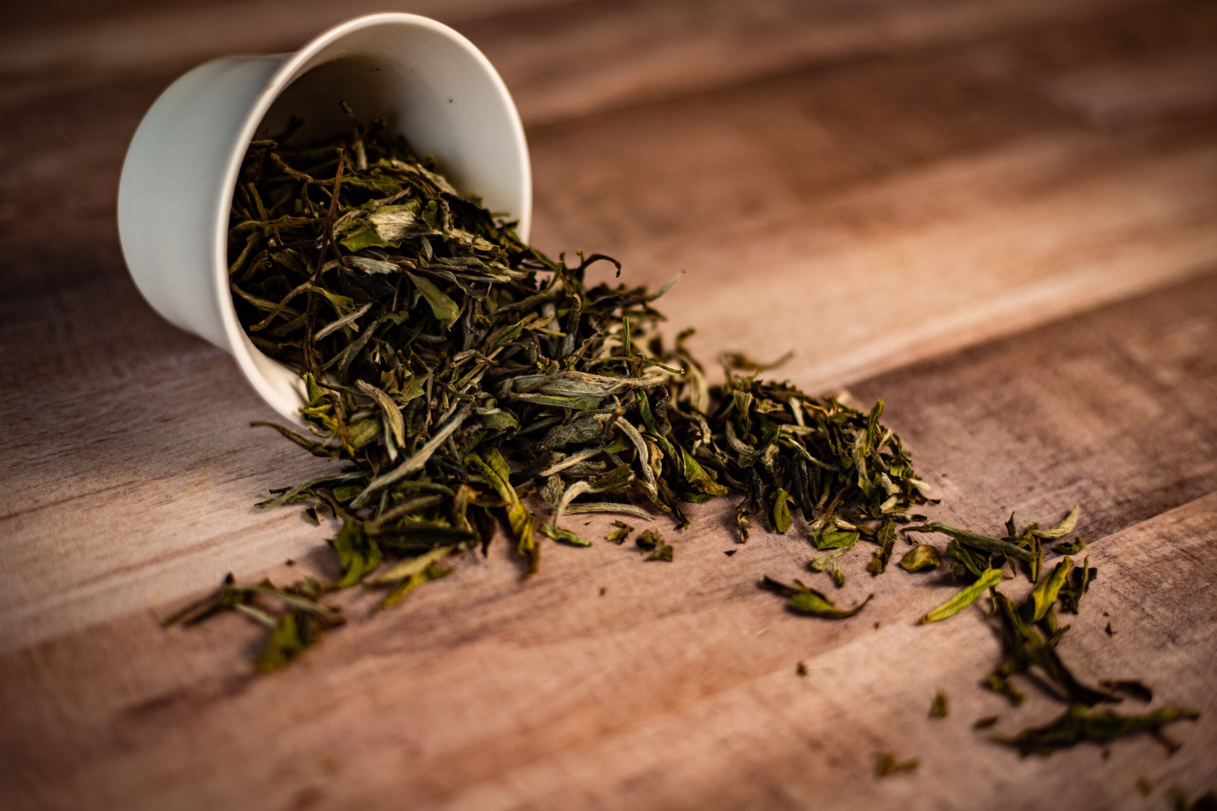 Winter Tea Sample Collection