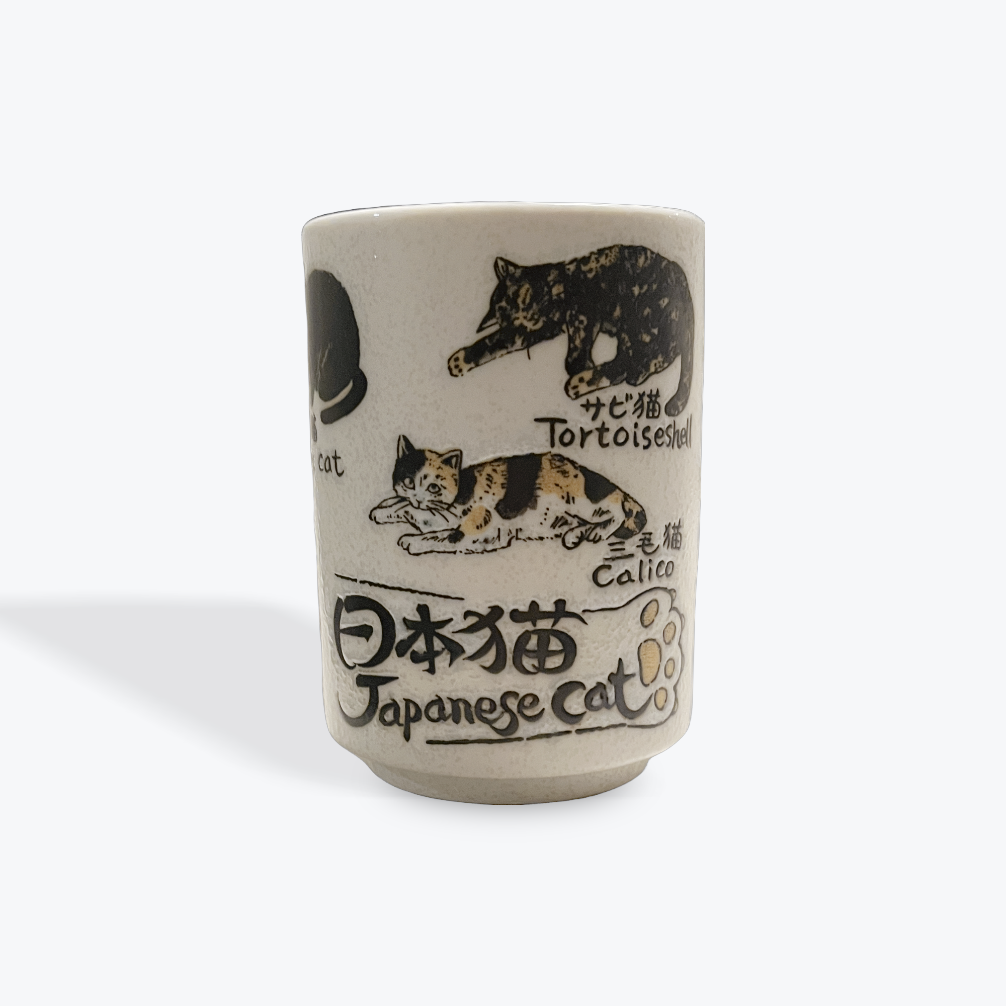 A4C8E583-0252-4857-BEAF-41B504ACD9BB.png