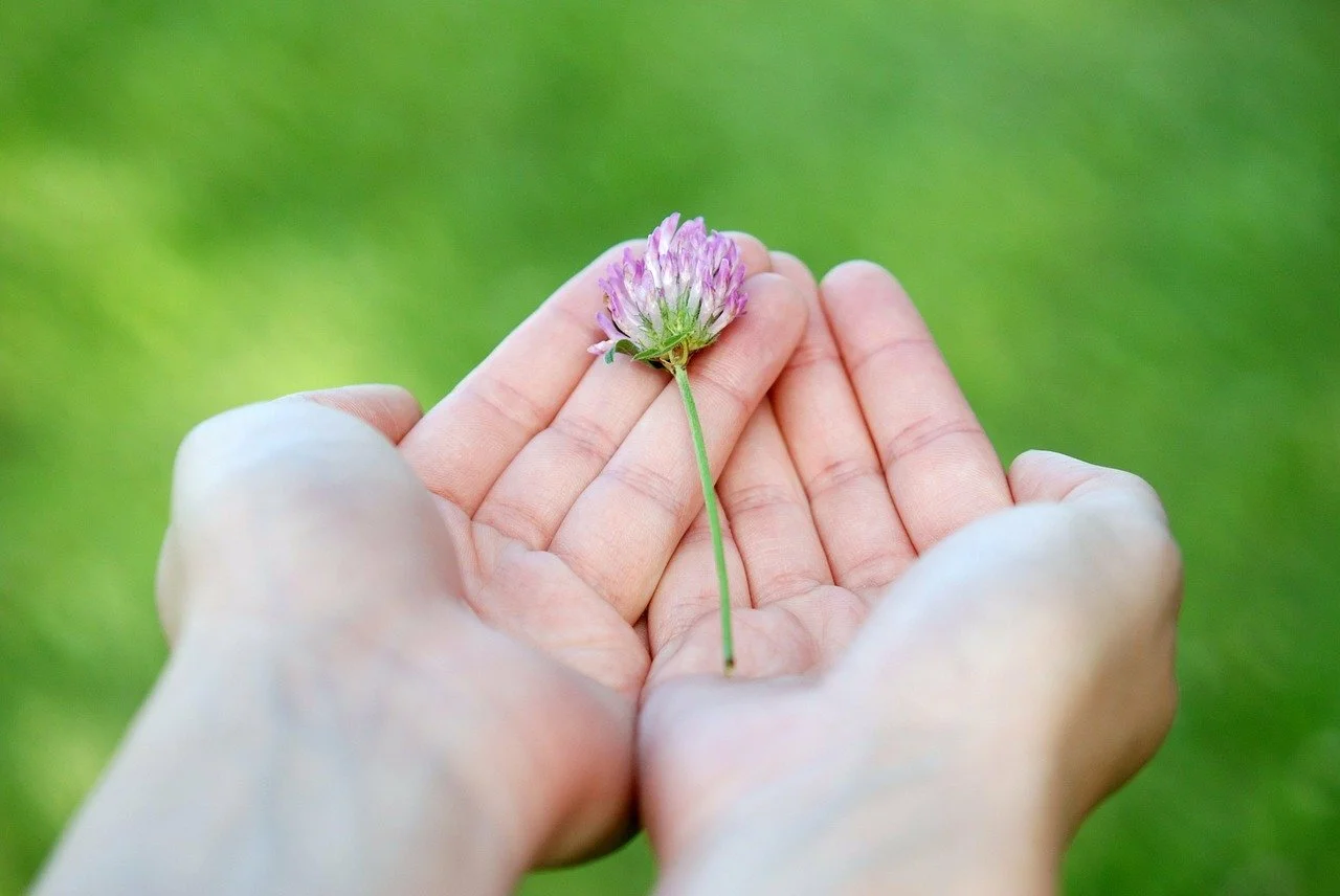5 Tips to Increase Giving This Summer