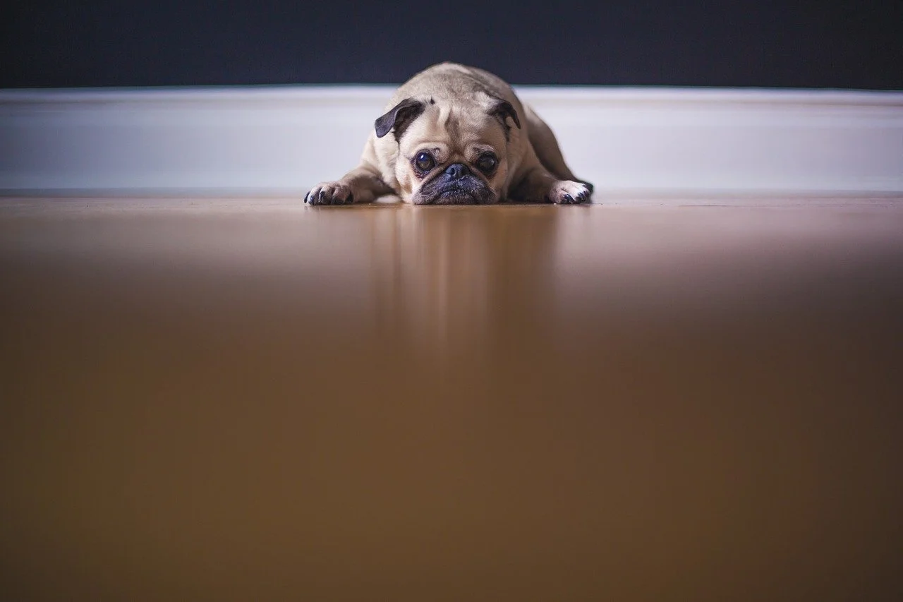 Six Insights About "Summer Slump"