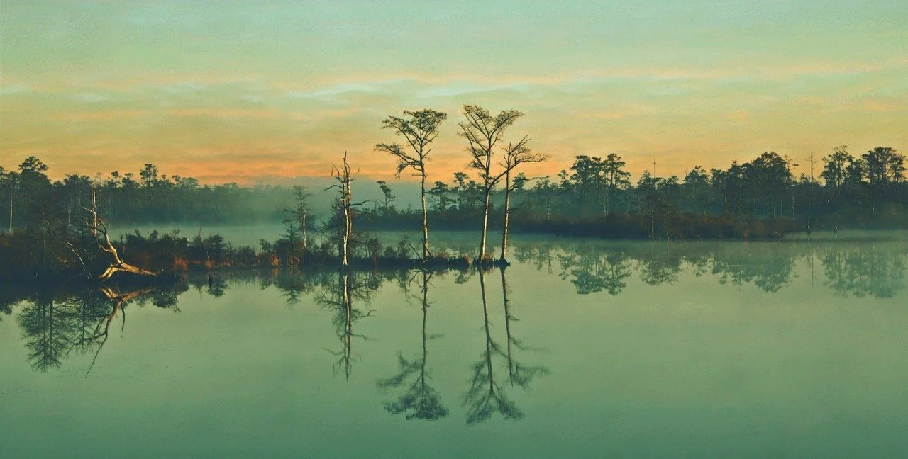 Is Your Congregation a Swamp, a Reservoir, or a Canal?