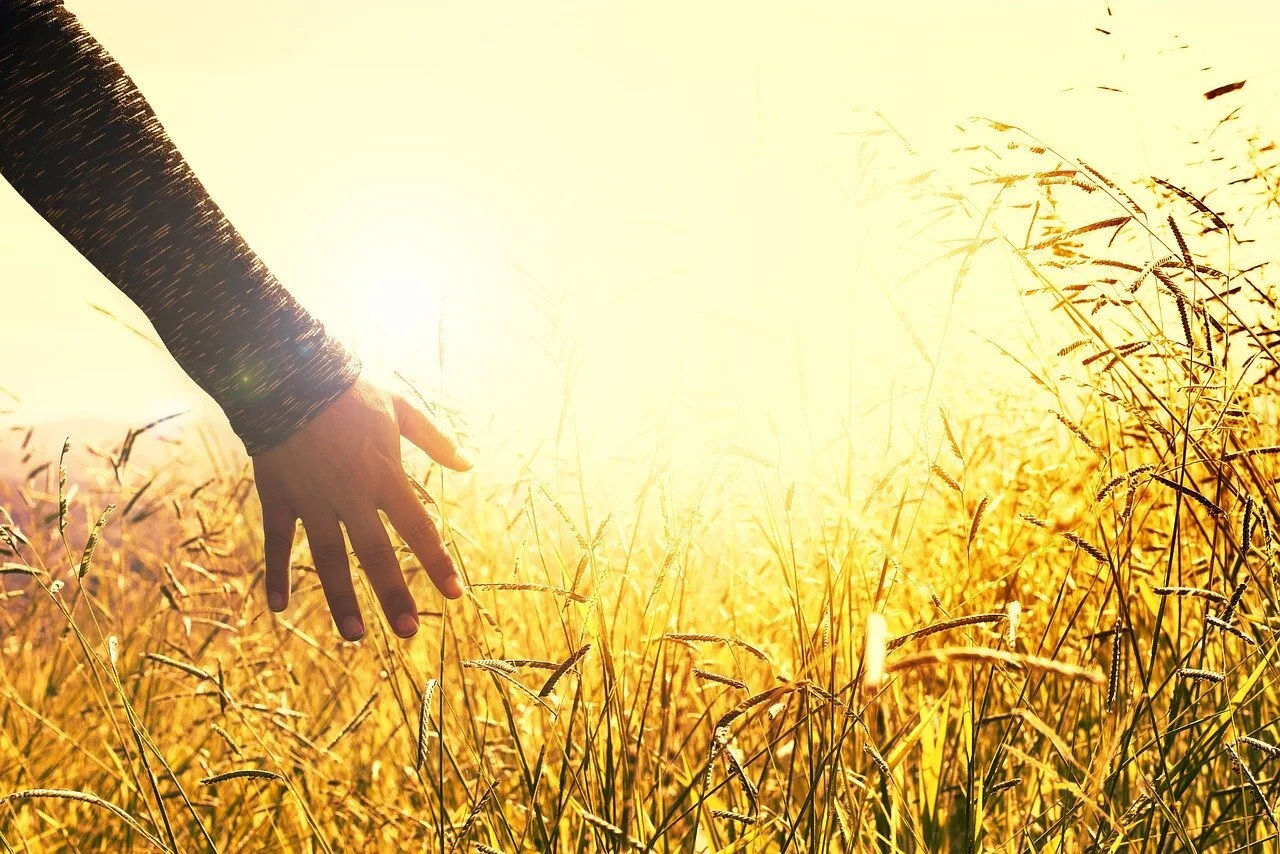 Five Troubling Religious Giving Trends