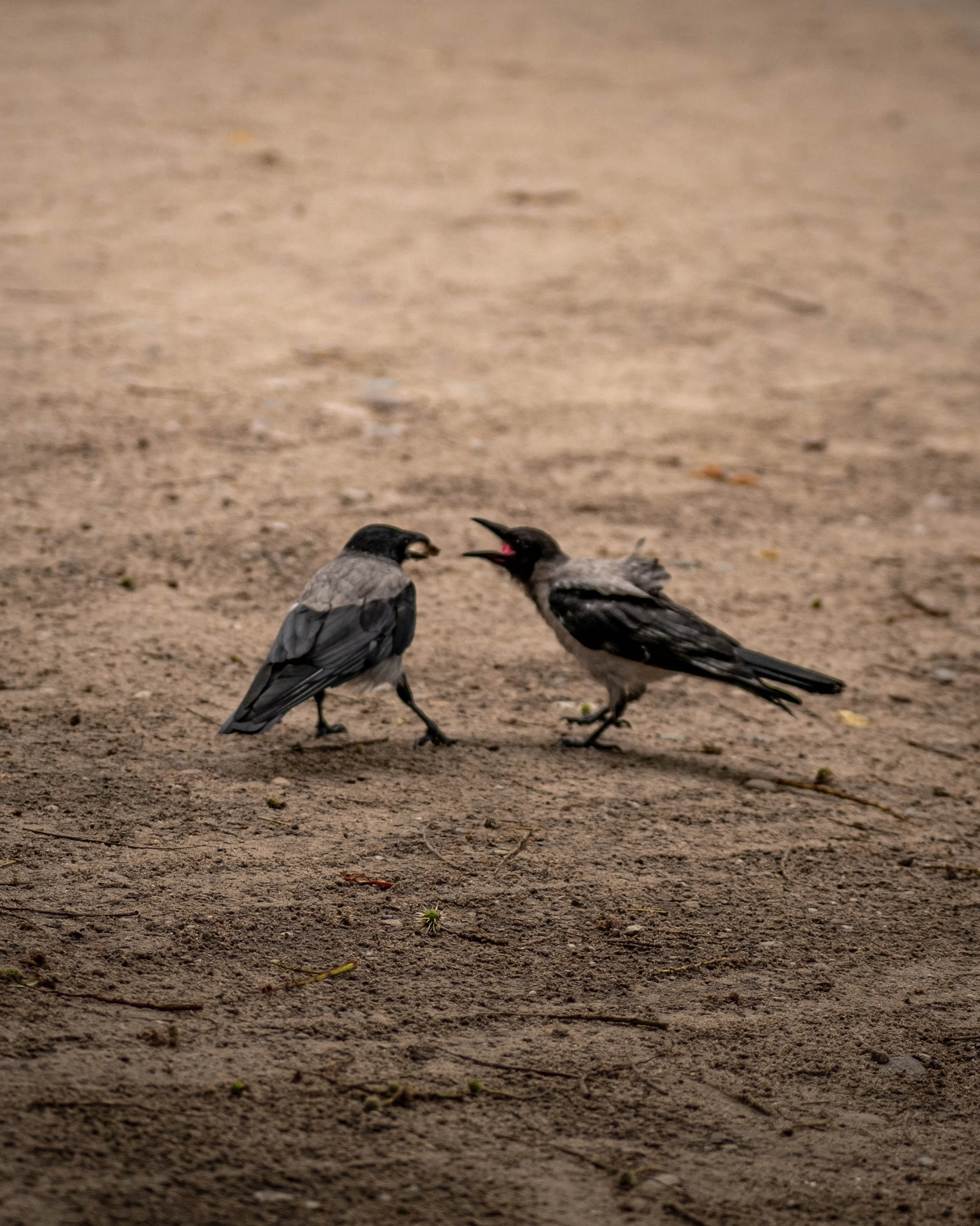 Leaders Learn to Work with Difficult People