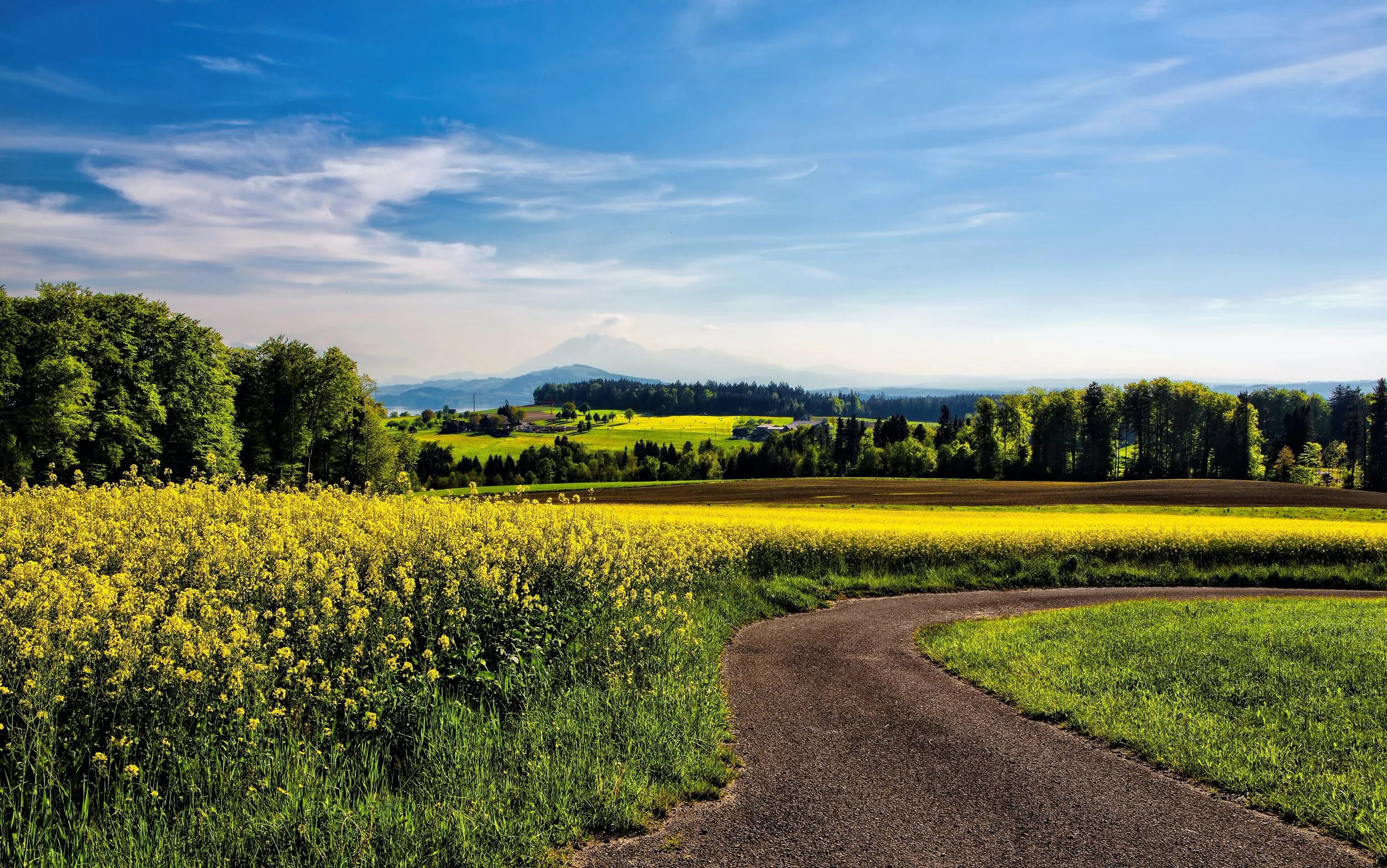 The Rural Church’s Gifts of Intimacy and Diversity
