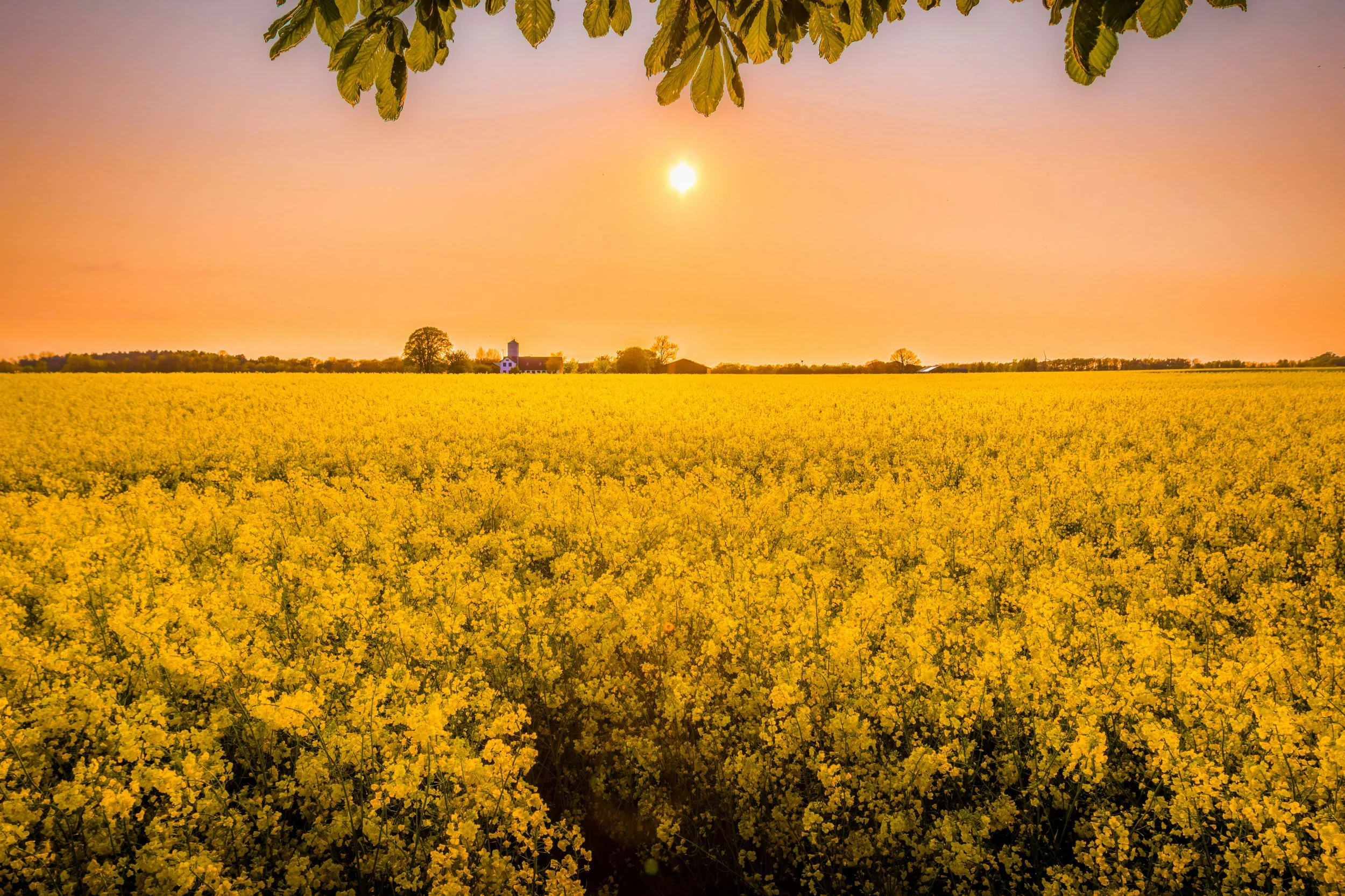  3 Clues for Reaching New Believers