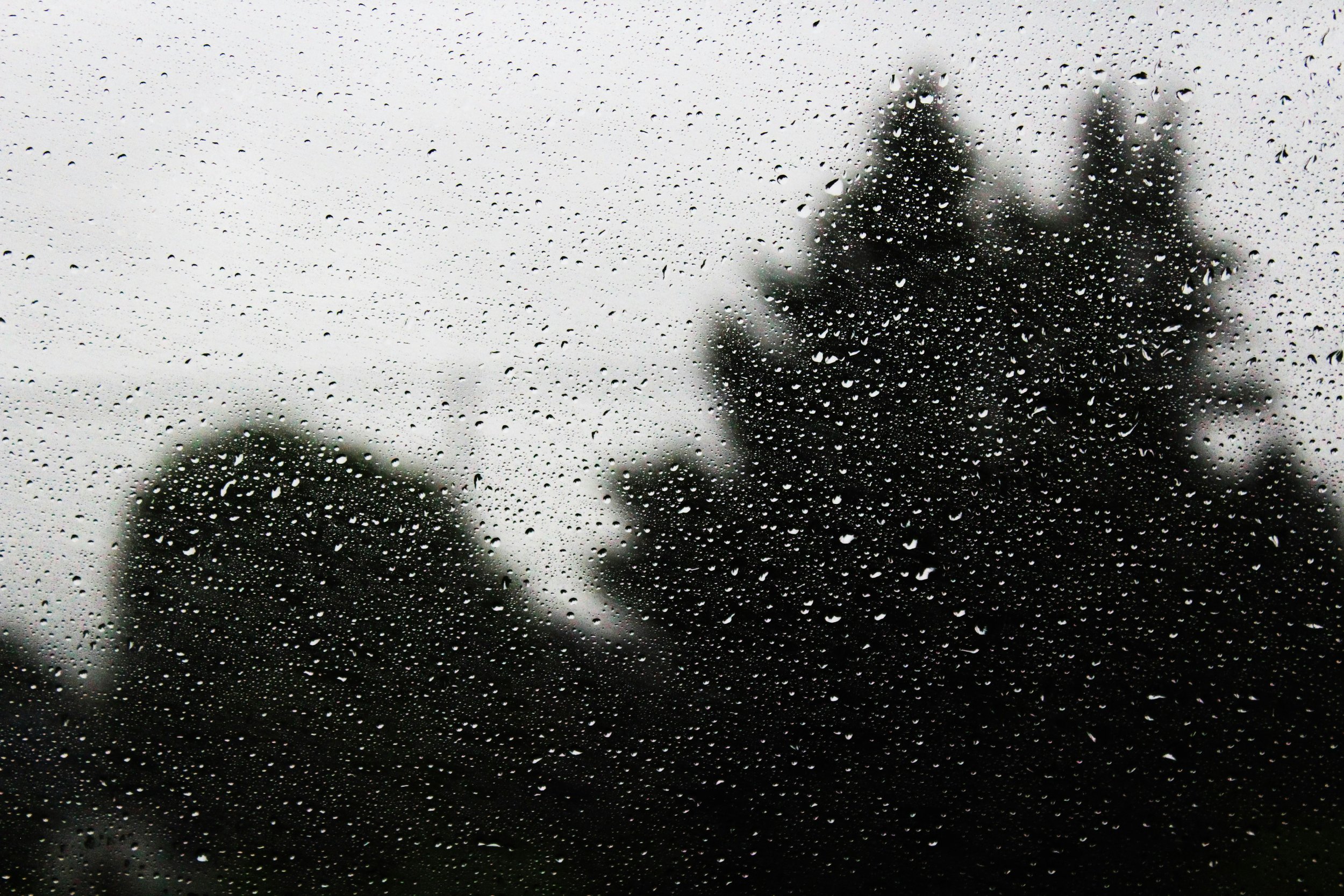 How to Cultivate a Culture of Transparency in Your Church