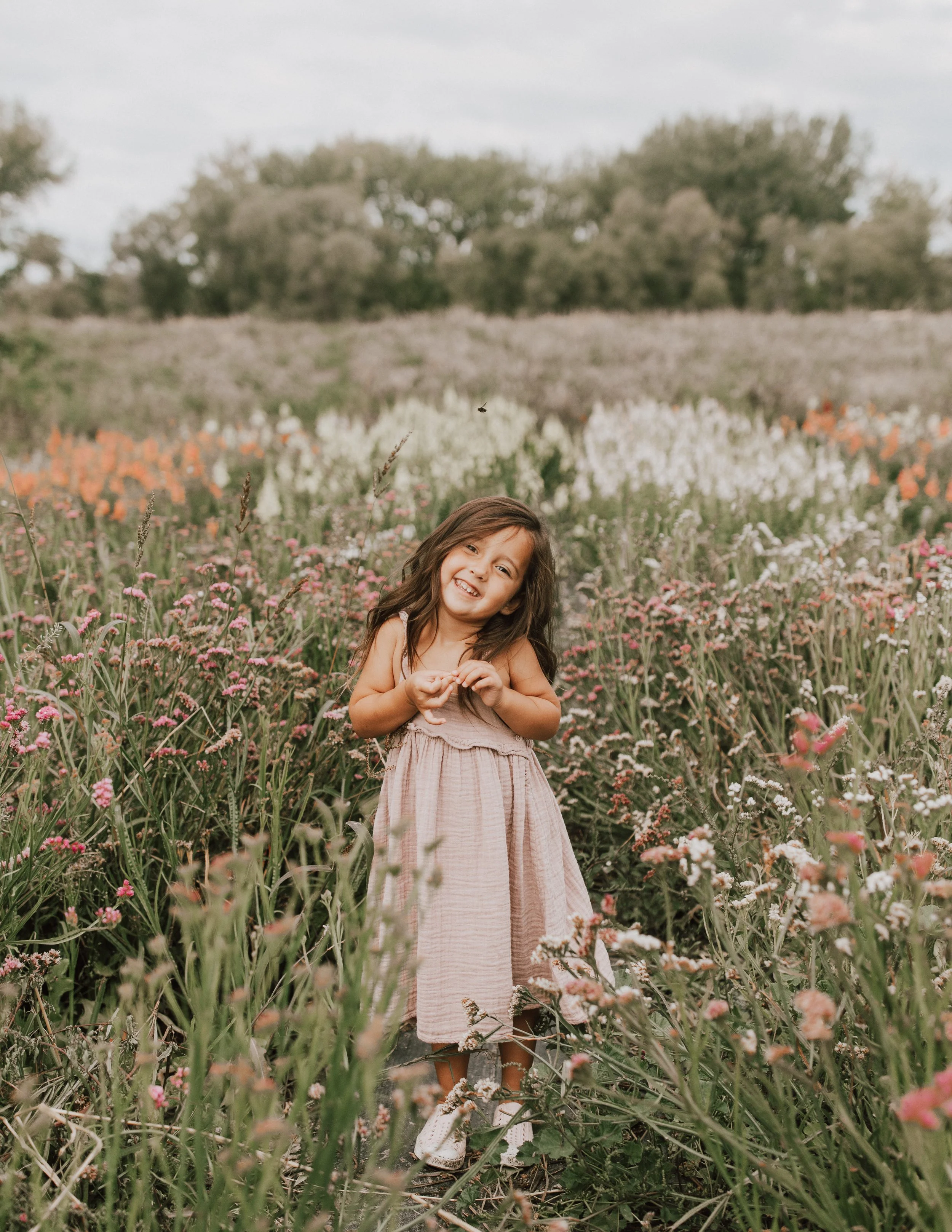 Miss Millie's Flower Farm Miss Millie's Flower Farm