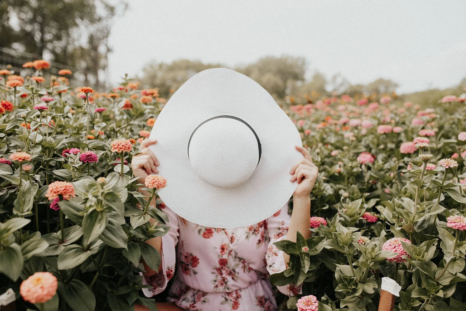 Farm Disclaimer — Miss Millie's Flower Farm Farm Disclaimer — Miss Millie's Flower Farm