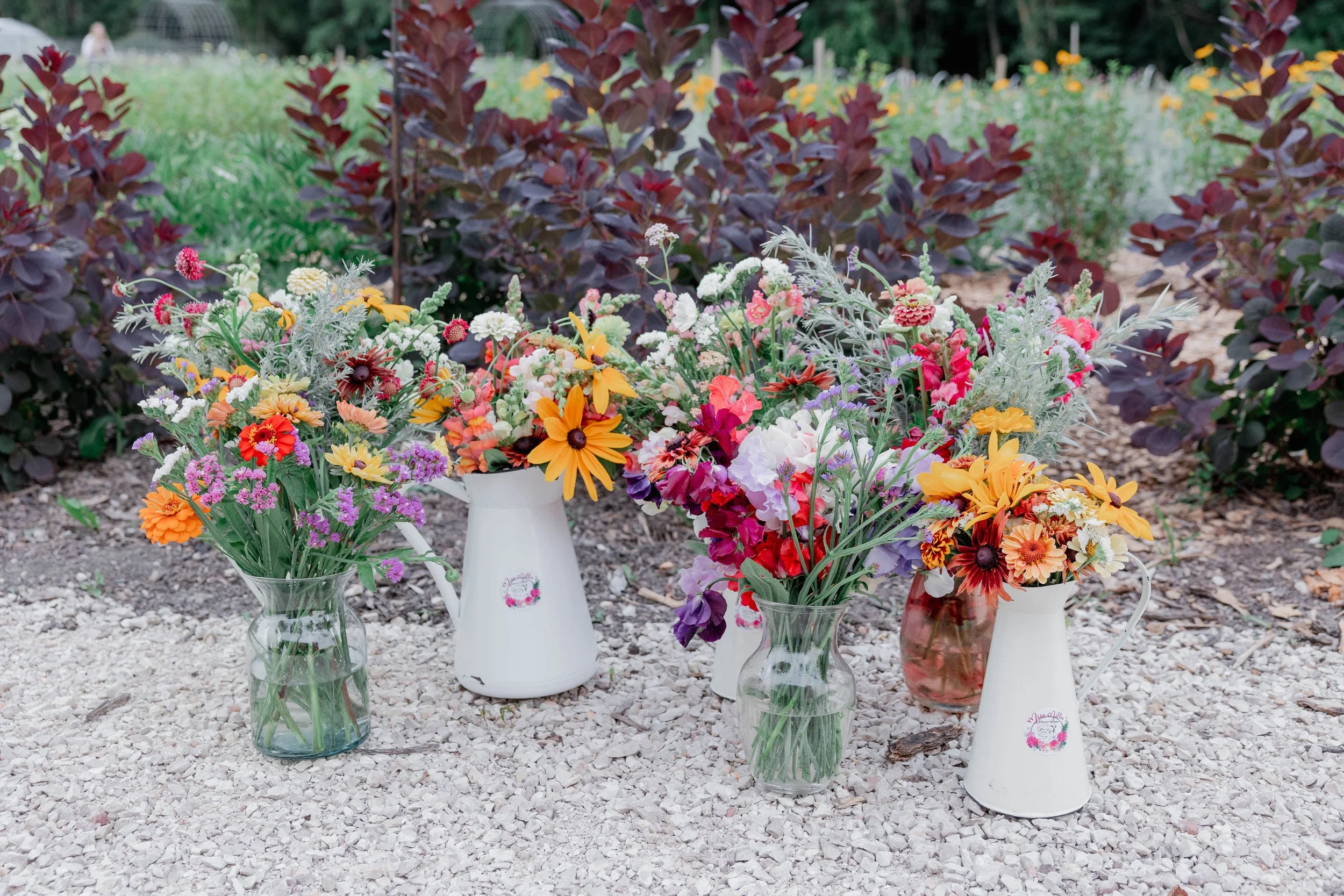 — Miss Millie's Flower Farm — Miss Millie's Flower Farm
