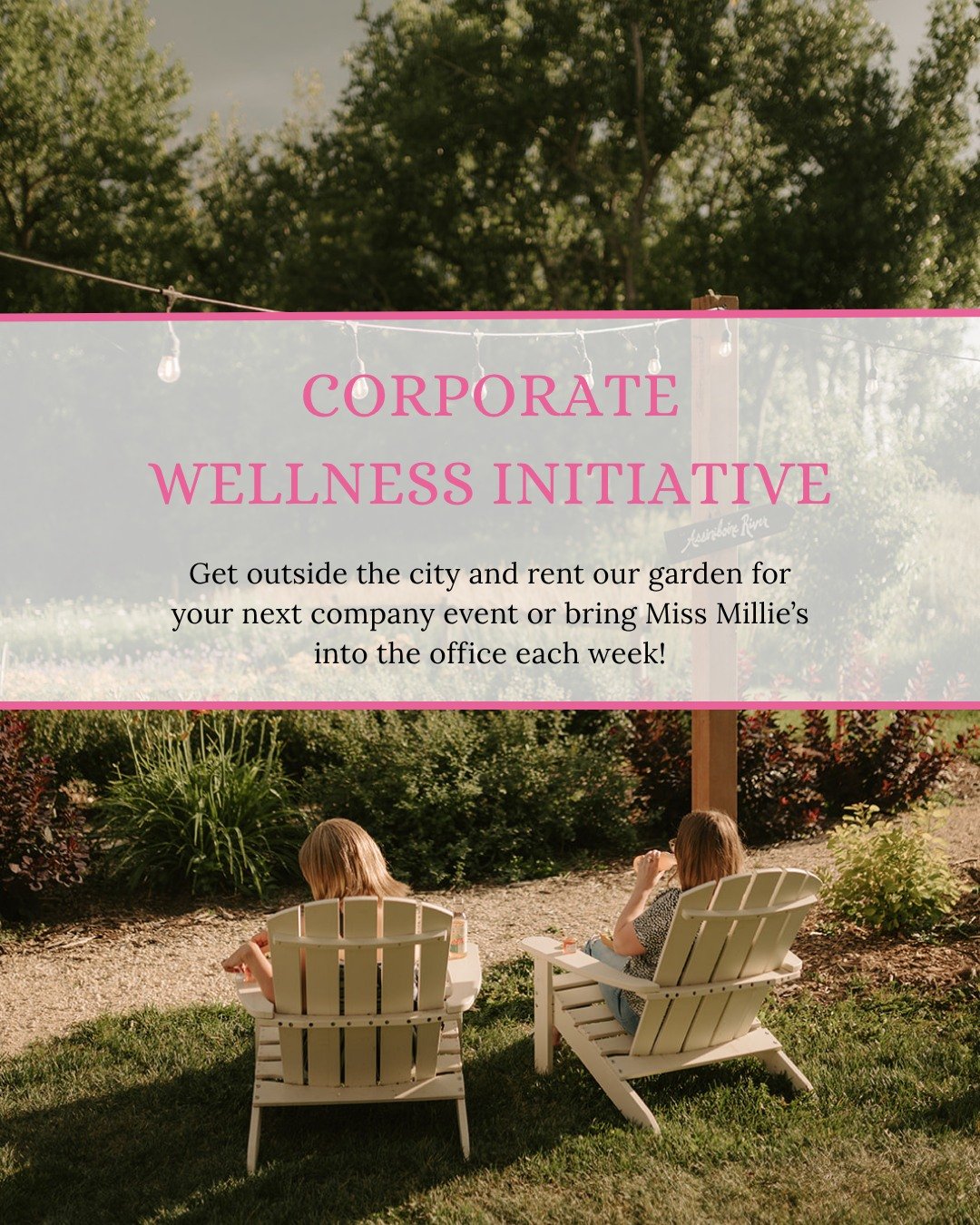Corporate Wellness, Flower Farm Style 🌸🌿
Looking for a fresh way to boost team morale? Bring your staff out to the flower farm for a wellness experience that recharges, reconnects, and inspires. 🌼

Whether it&rsquo;s a peaceful U-Pick workshop, we