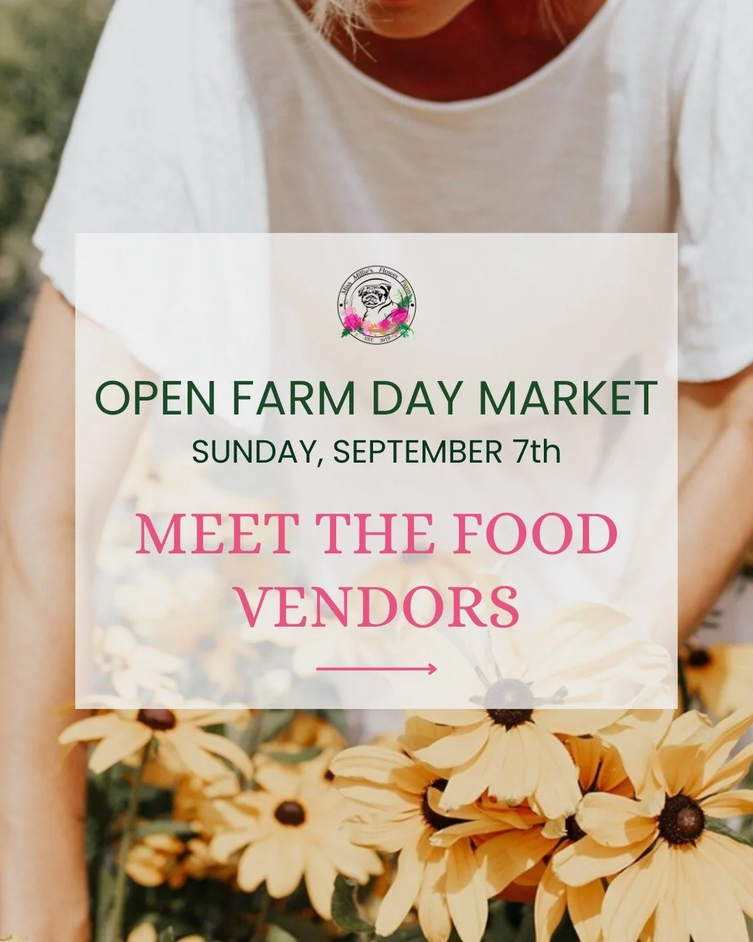 Open Farm Day &amp; Mini Market | Meet the Food vendors! --&gt;
Sunday, September 7th | Come &amp; Go from 10am-3pm 
Register using the link in our bio &amp; your name will be entered to win a free large U-Pick bouquet. (Redeemable on open farm day o
